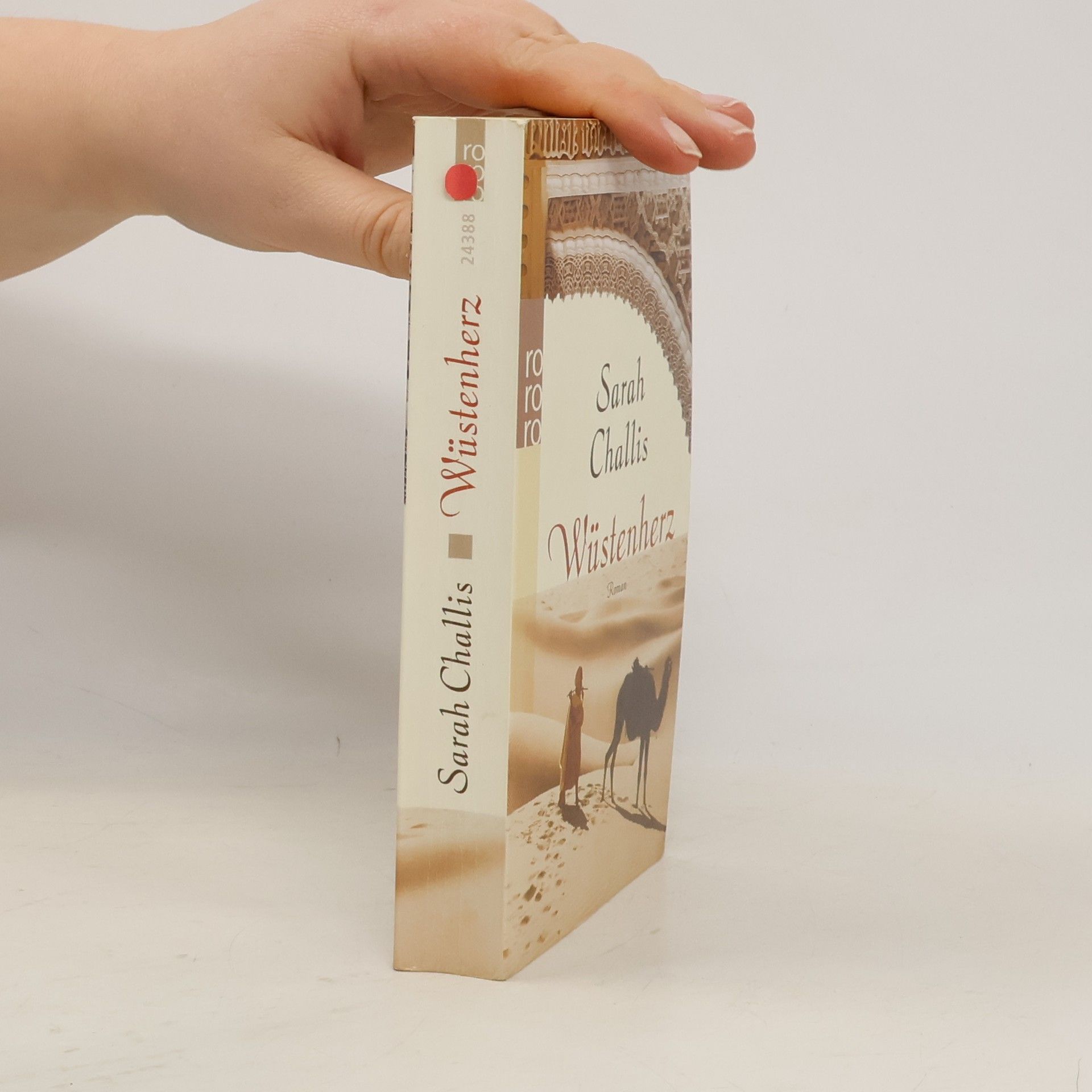 Sarah Challis Wüstenherz