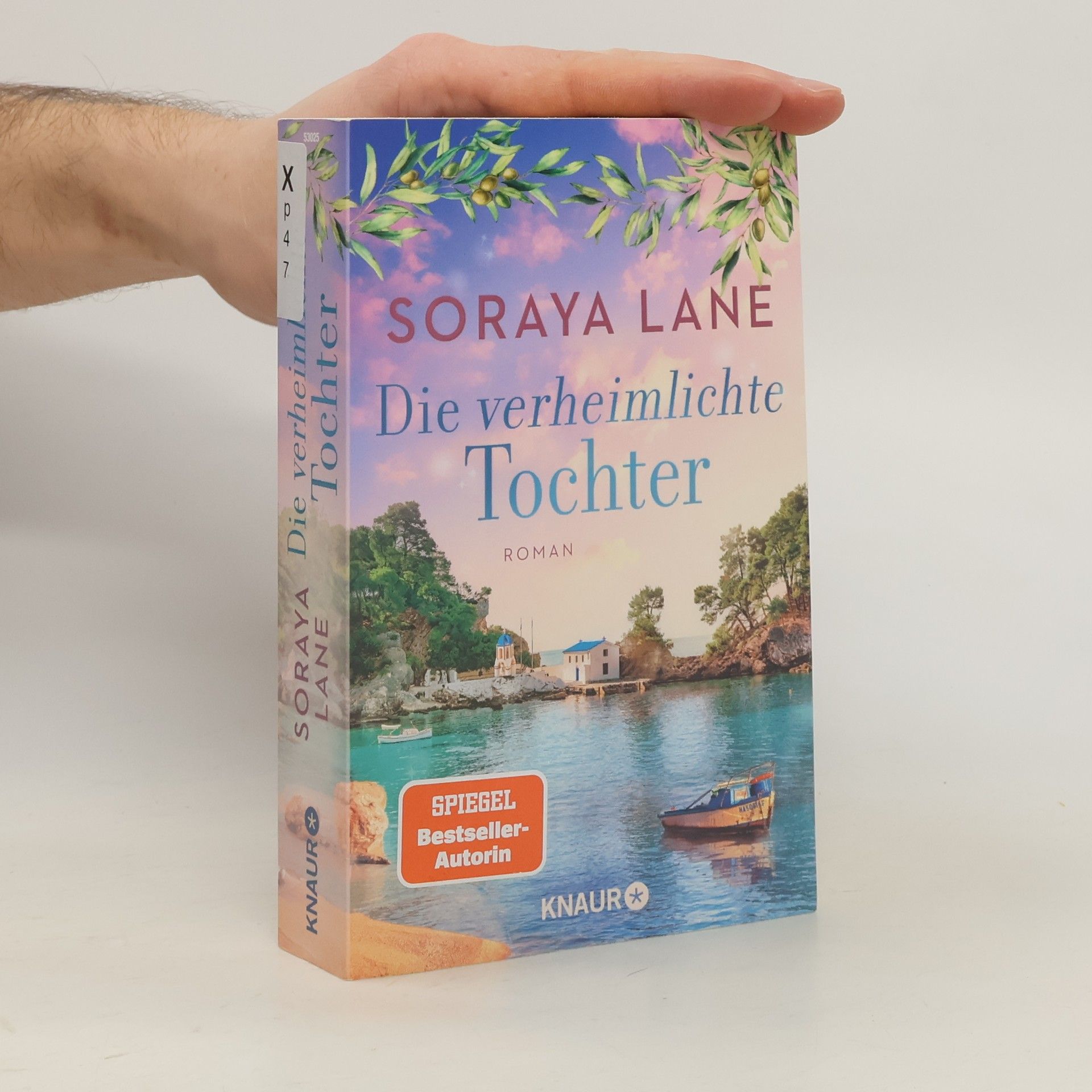 Soraya M. Lane Die verheimlichte Tochter