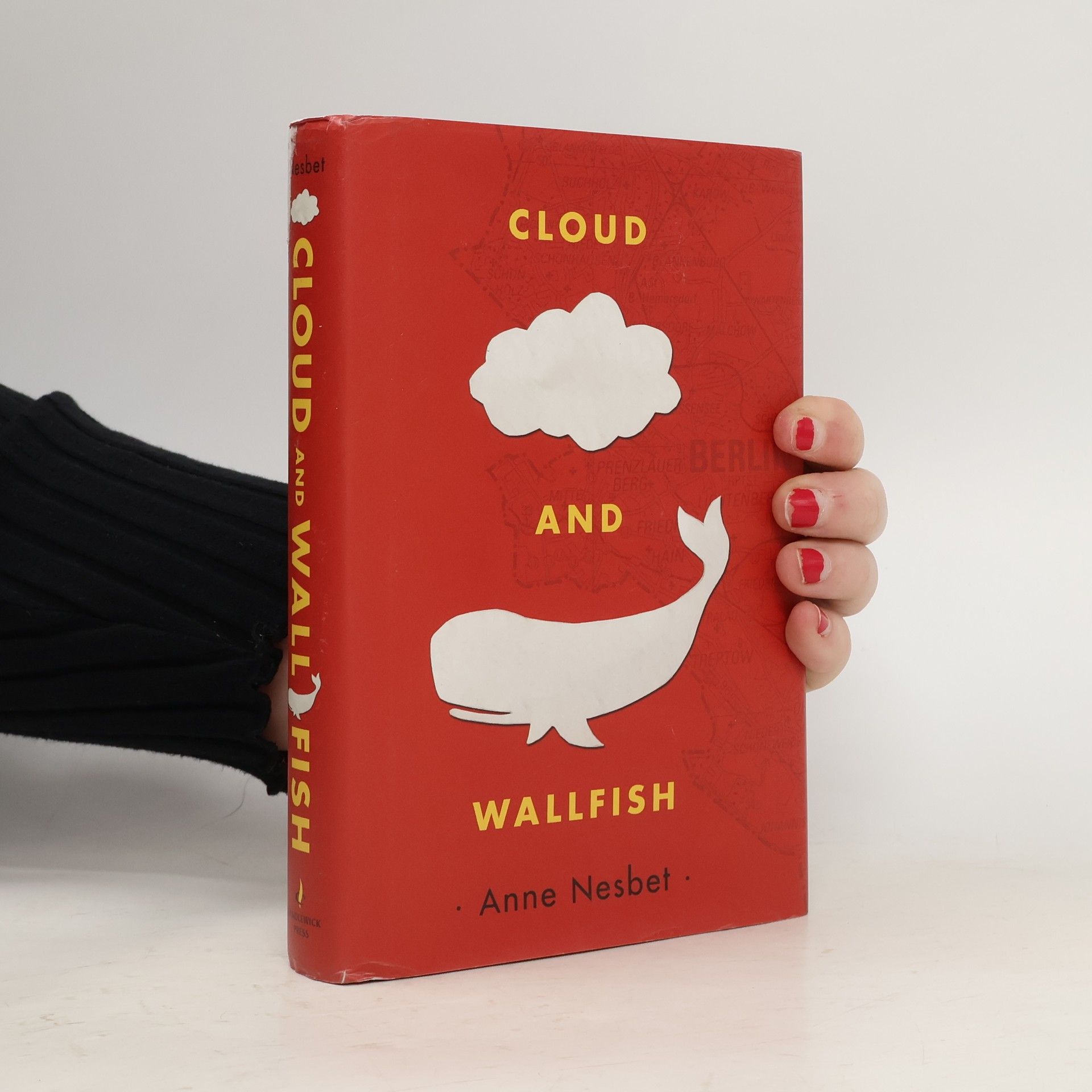 Anne Nesbet Cloud and Wallfish