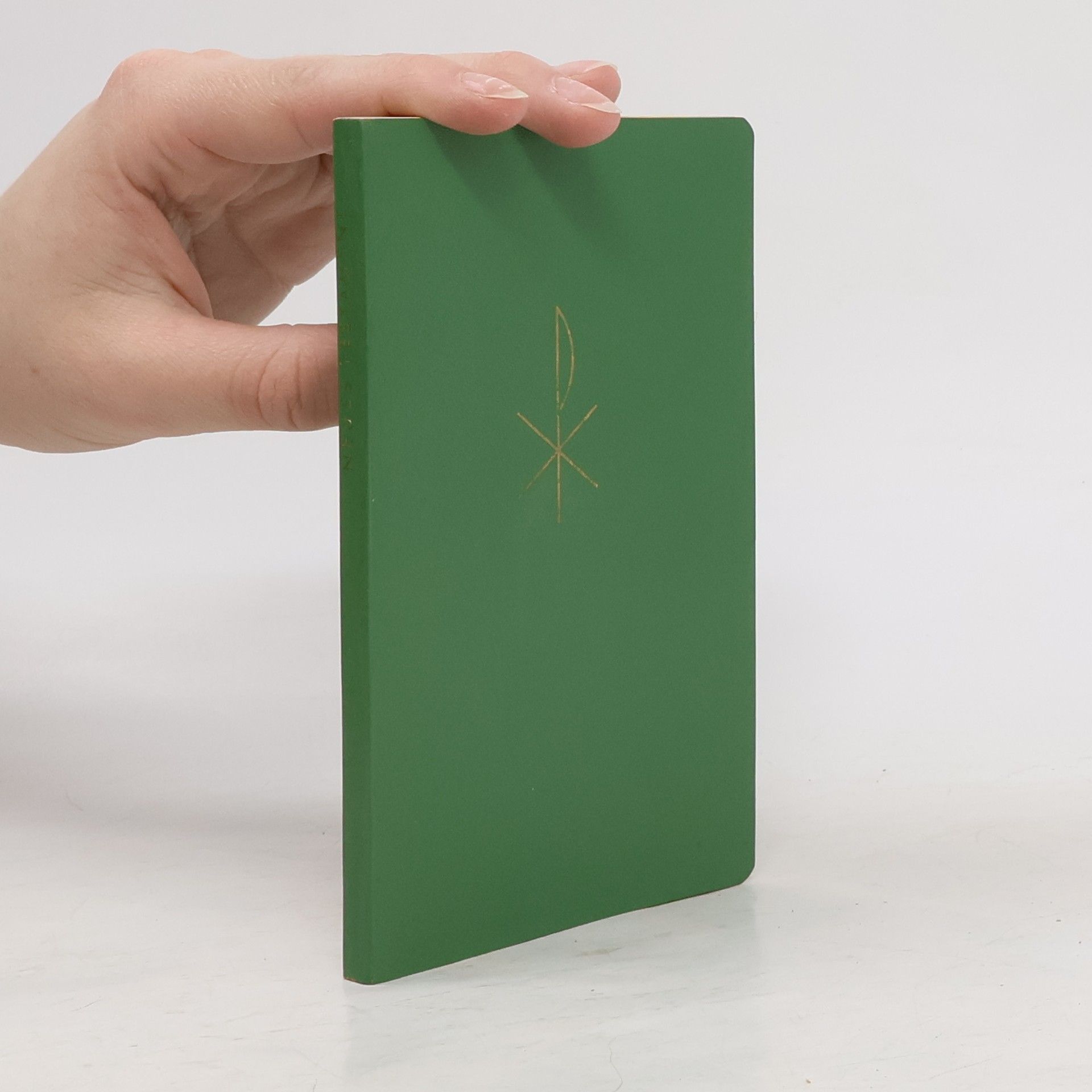 Kolektiv autorů Neues Testament