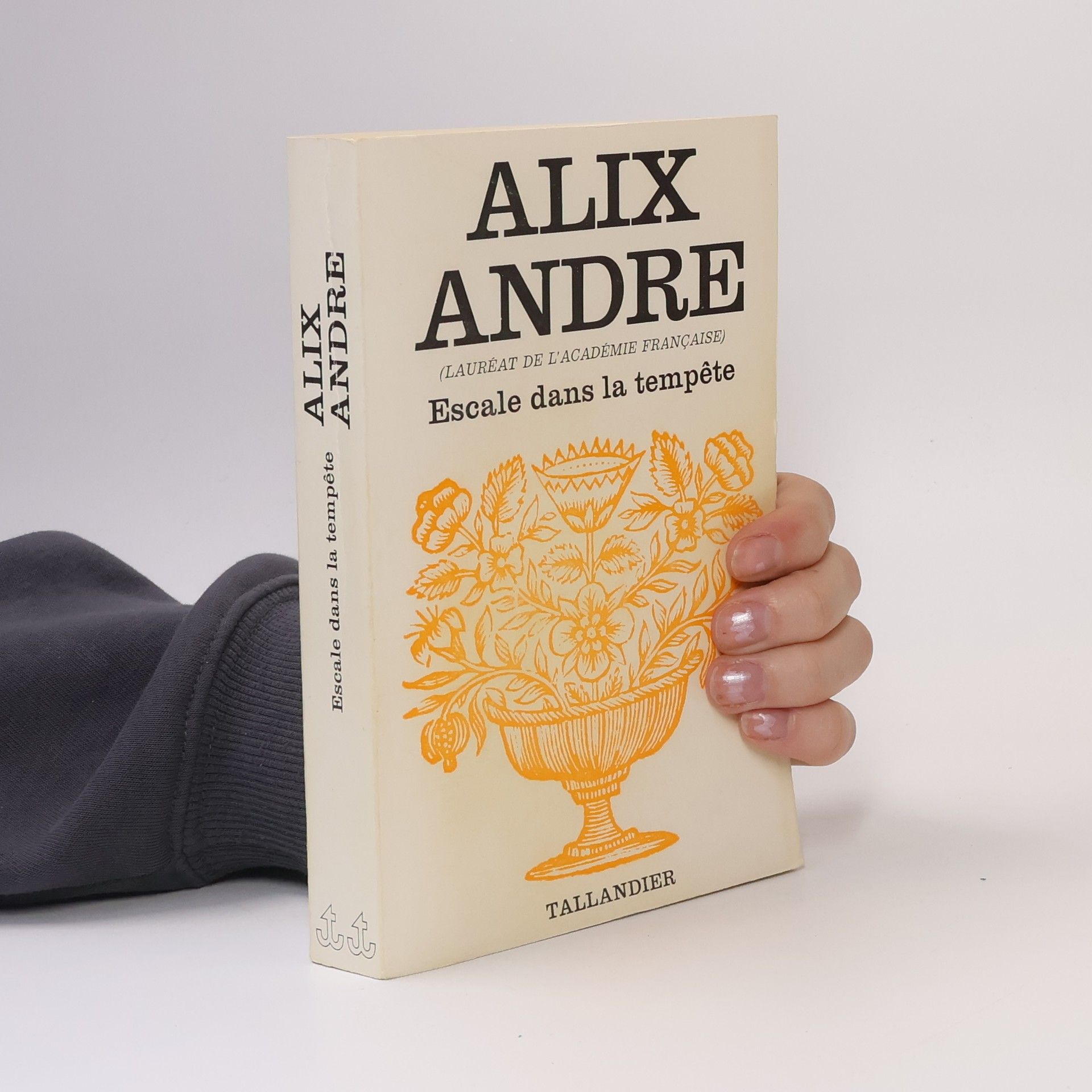 Escale dans la tempête