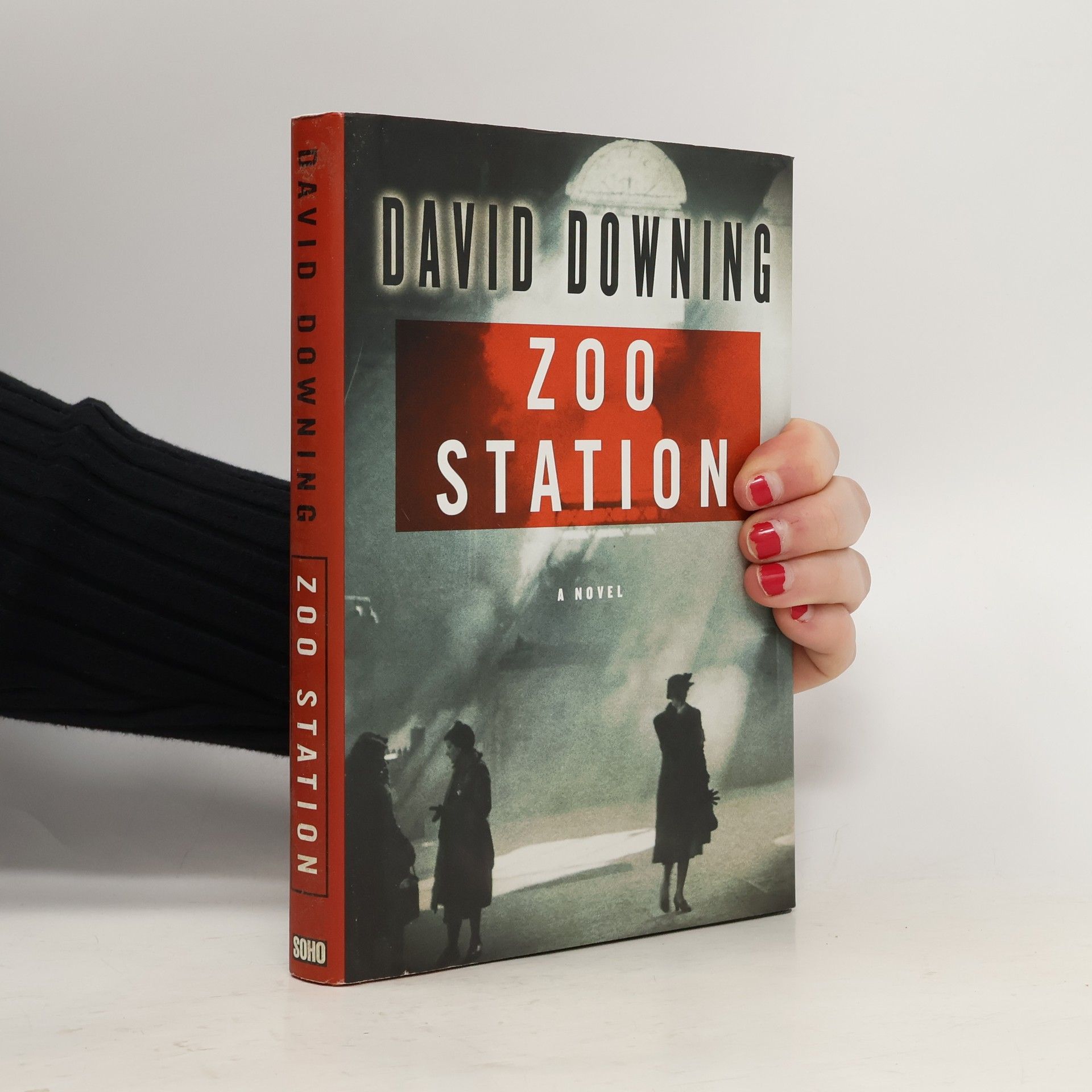 David Downing Zoo Station