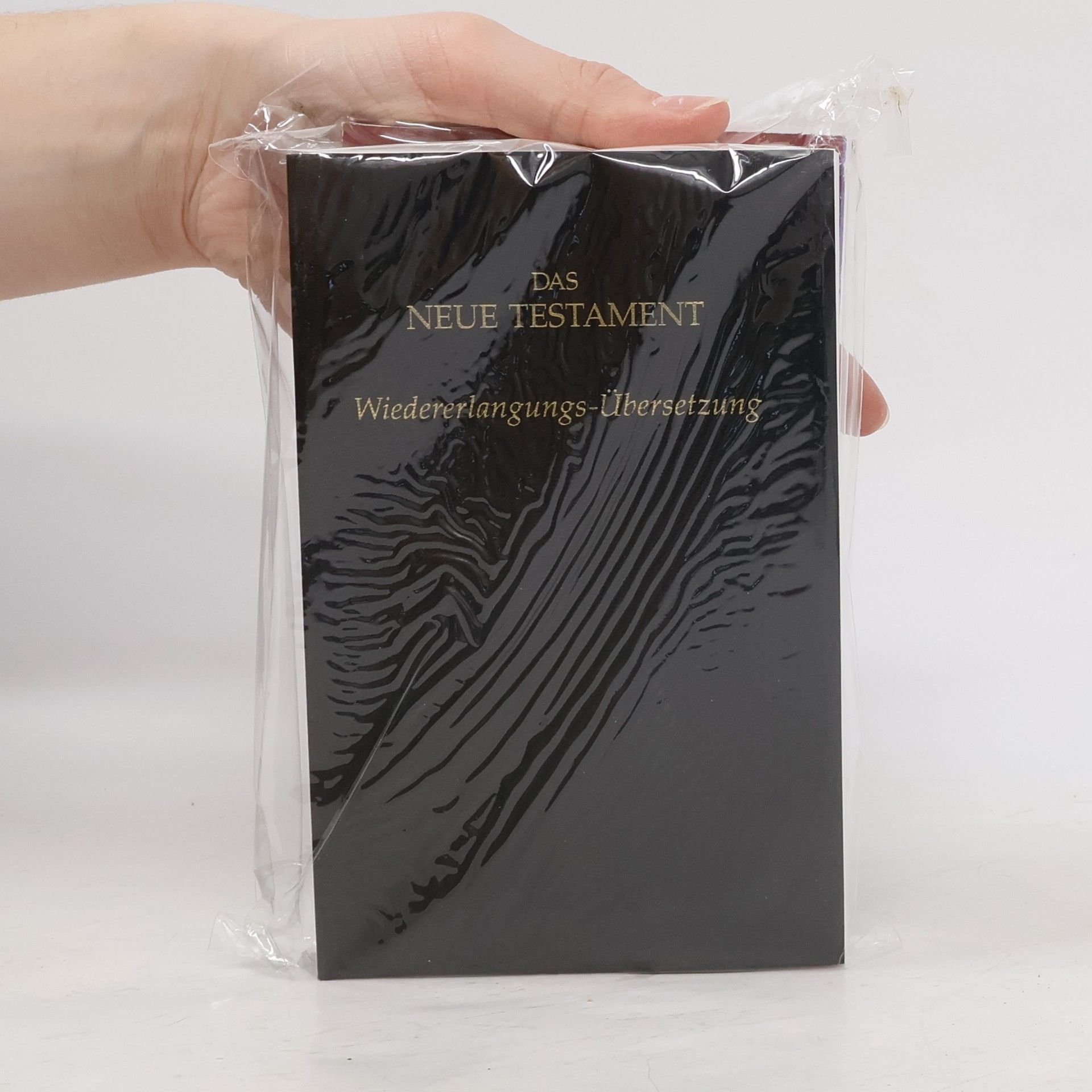 Autorenkollektiv Das neue Testament. Wiedererlangungs-Übersetzung