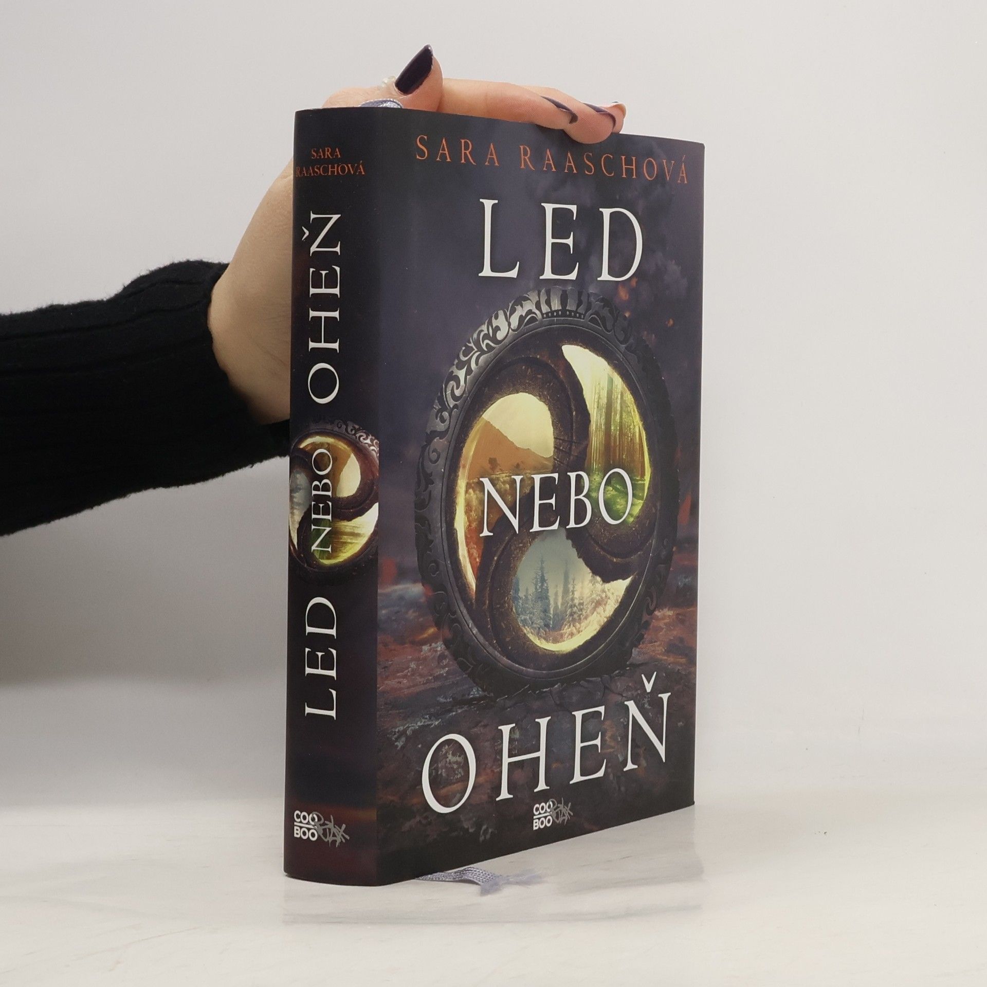 Sara Raasch Led nebo oheň