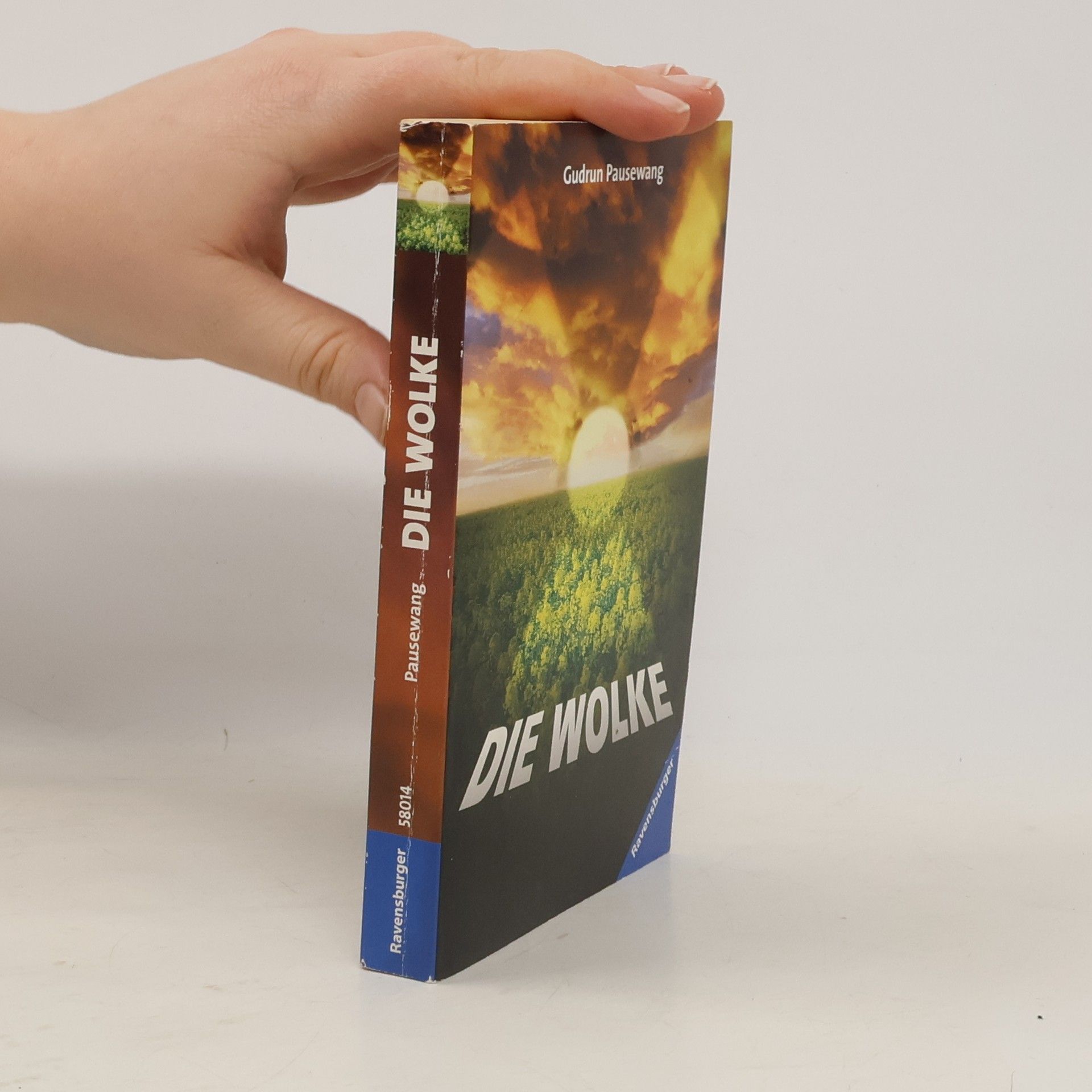 Die Wolke