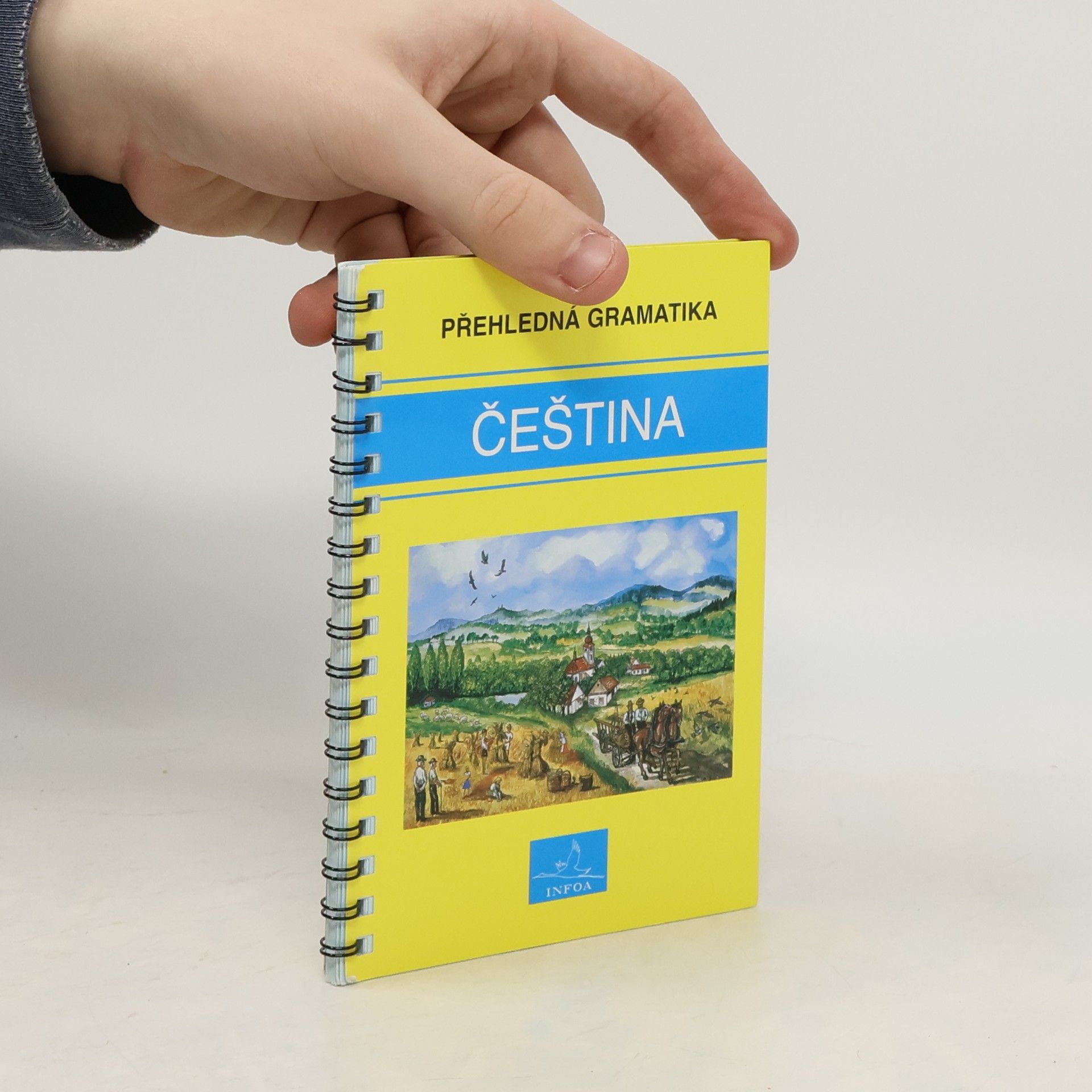 Martina Sobotíková Čeština. Přehledná gramatika