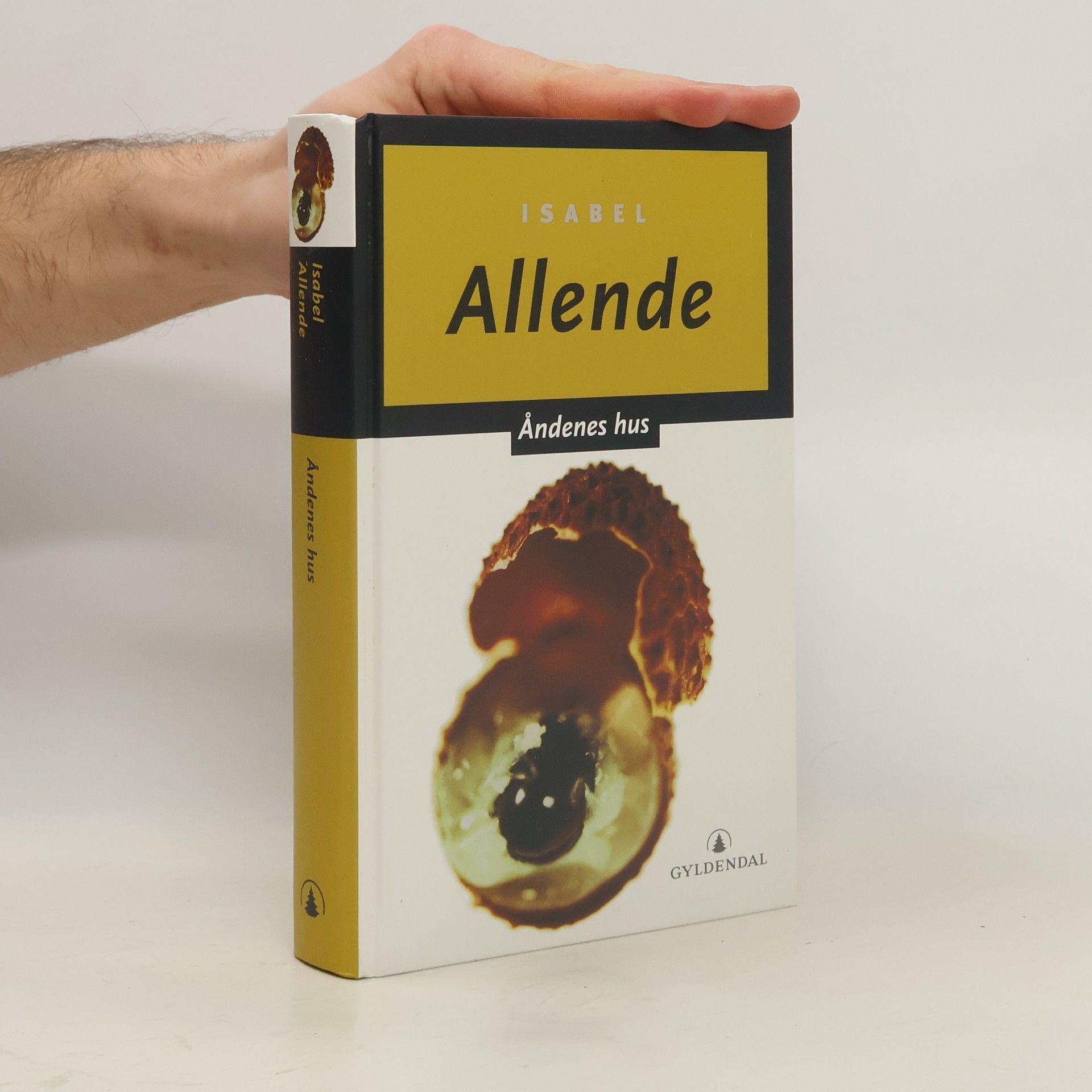 Isabel Allende Åndenes hus