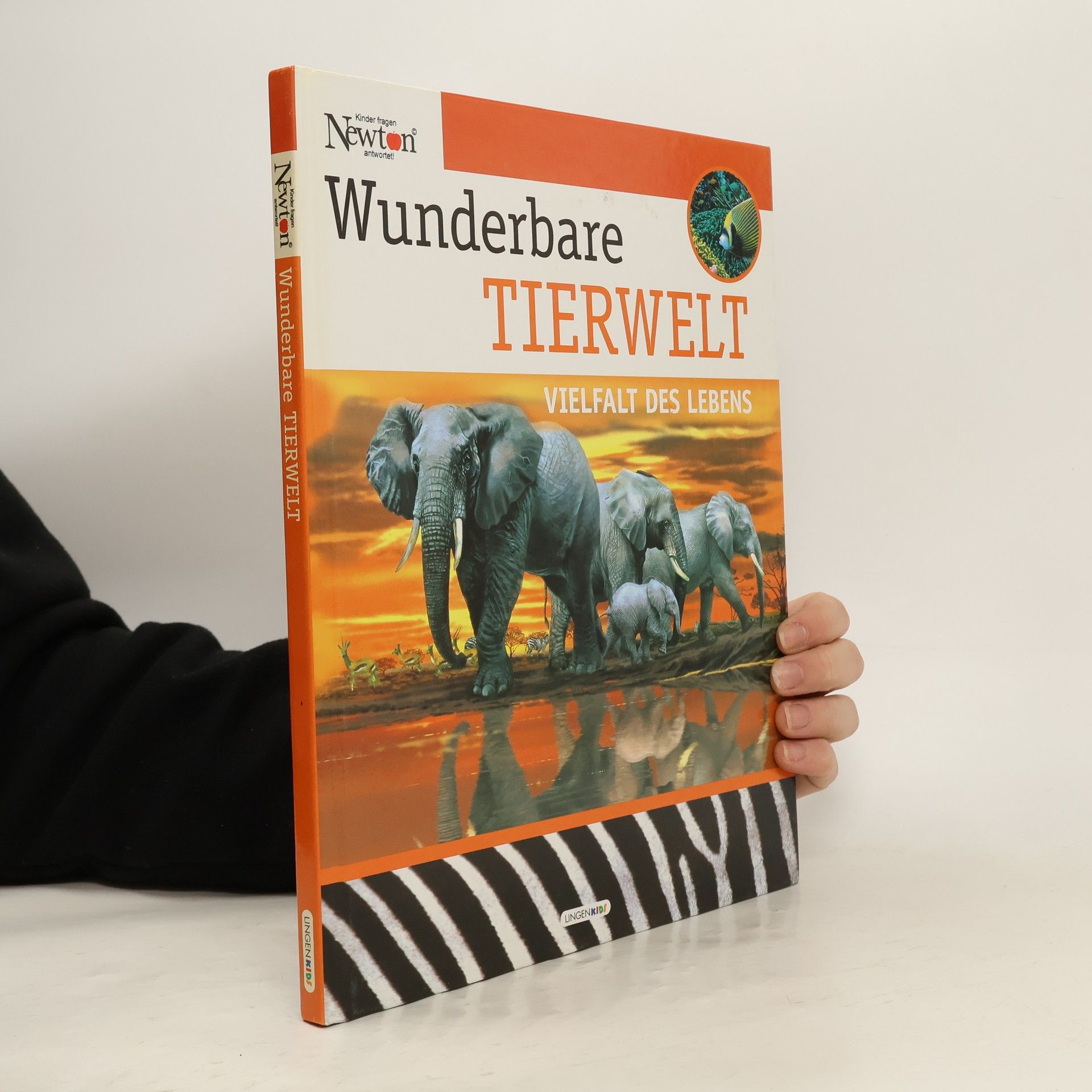 Autorenkollektiv Wunderbare Tierwelt. Vielfalt des Lebens