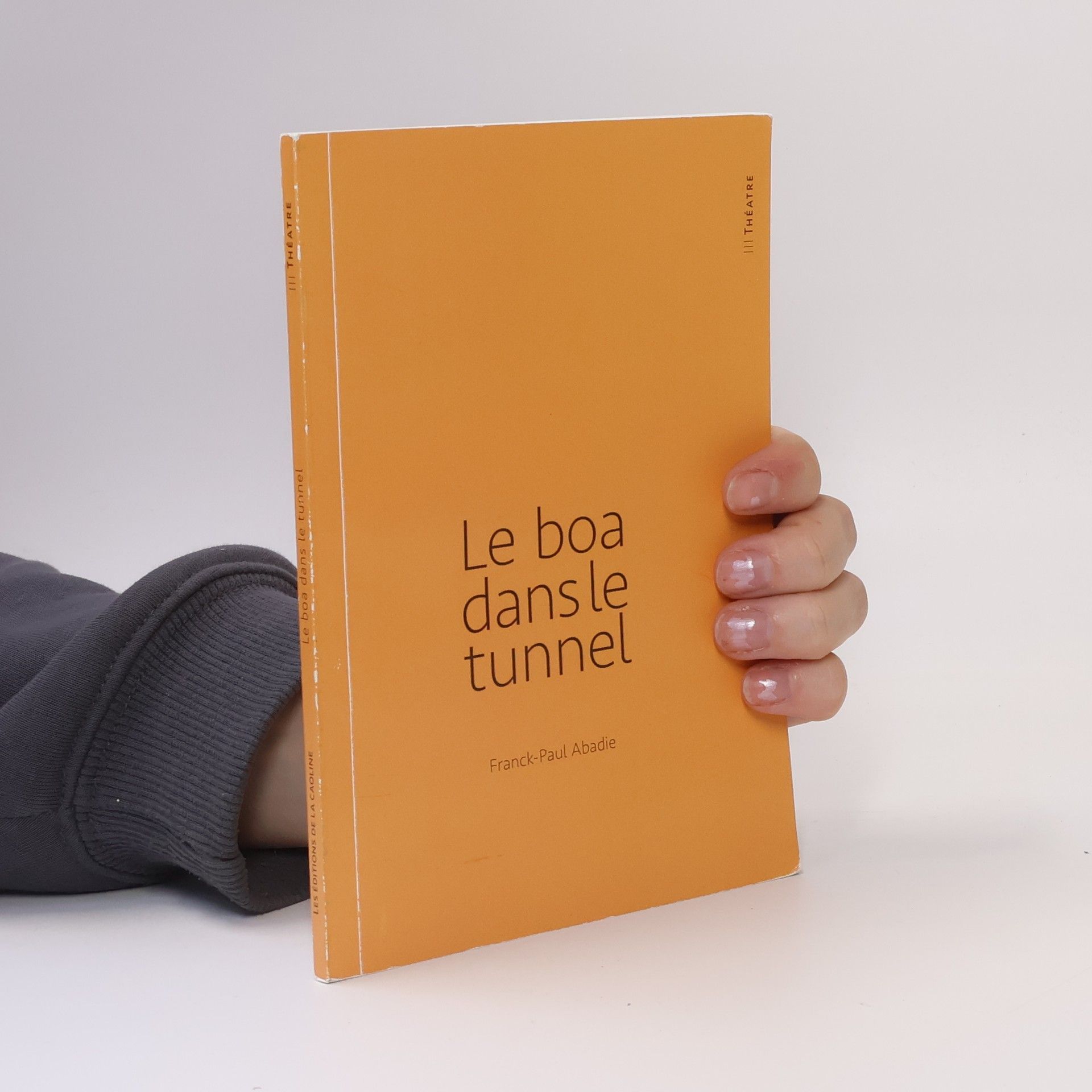 Franck-Paul Abadie Le boa dans le tunnel