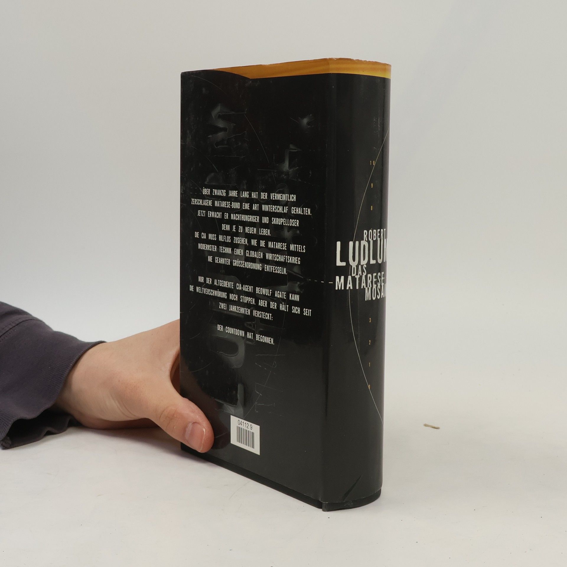 Robert Ludlum Das Matarese Mosaik