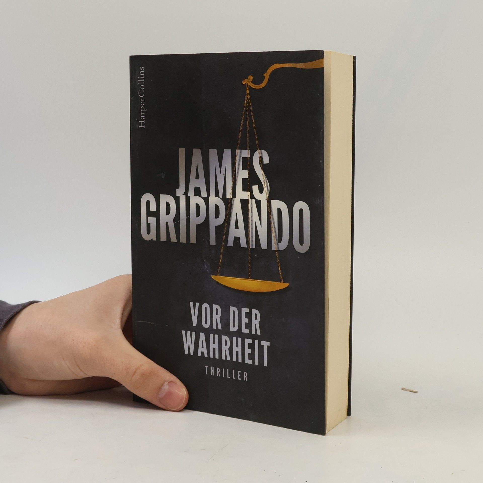 James Grippando Vor der Wahrheit