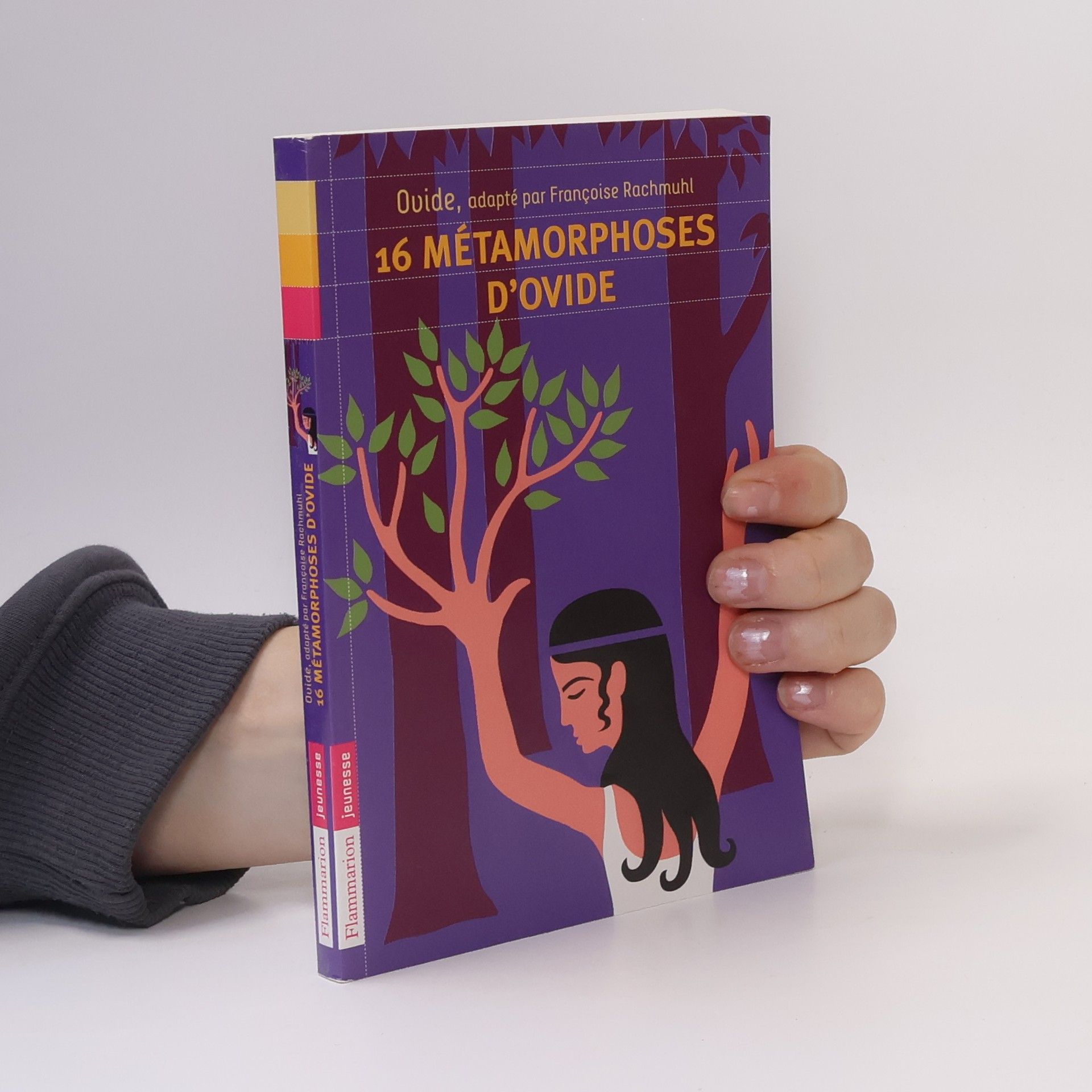 Frédéric Sochard jeunesse: 16 métamorphoses d'Ovide