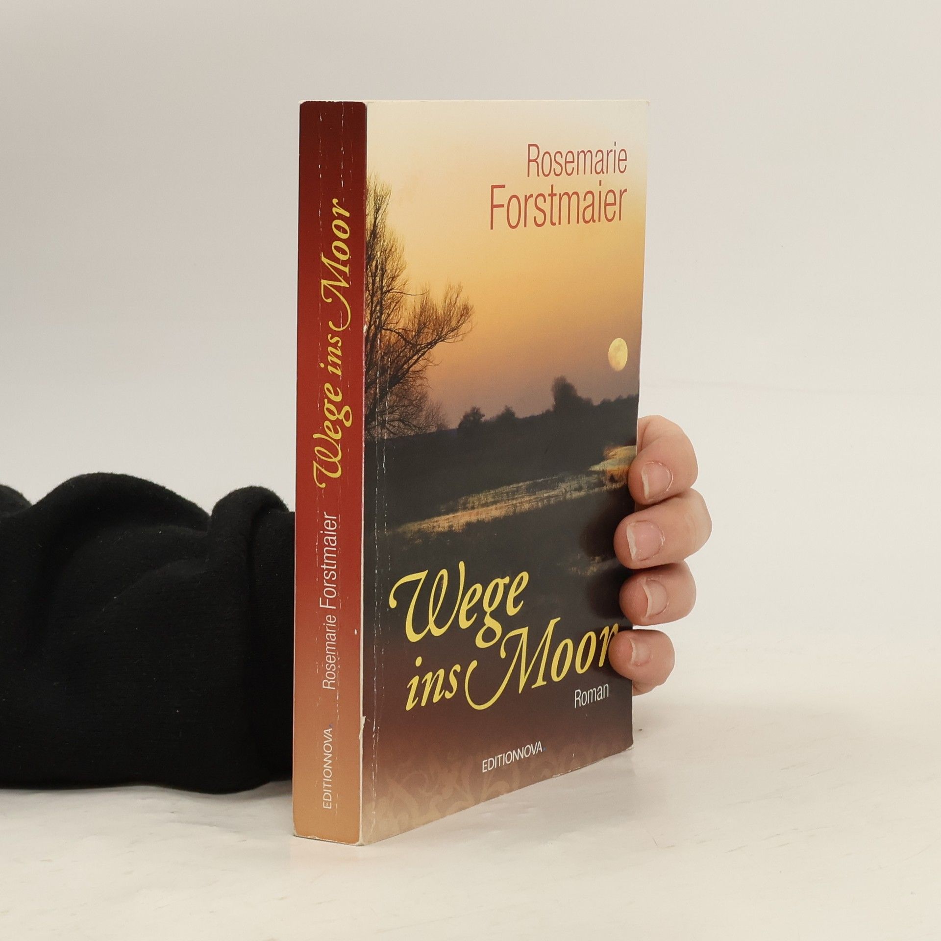 Rosemarie Forstmaier Wege ins Moor