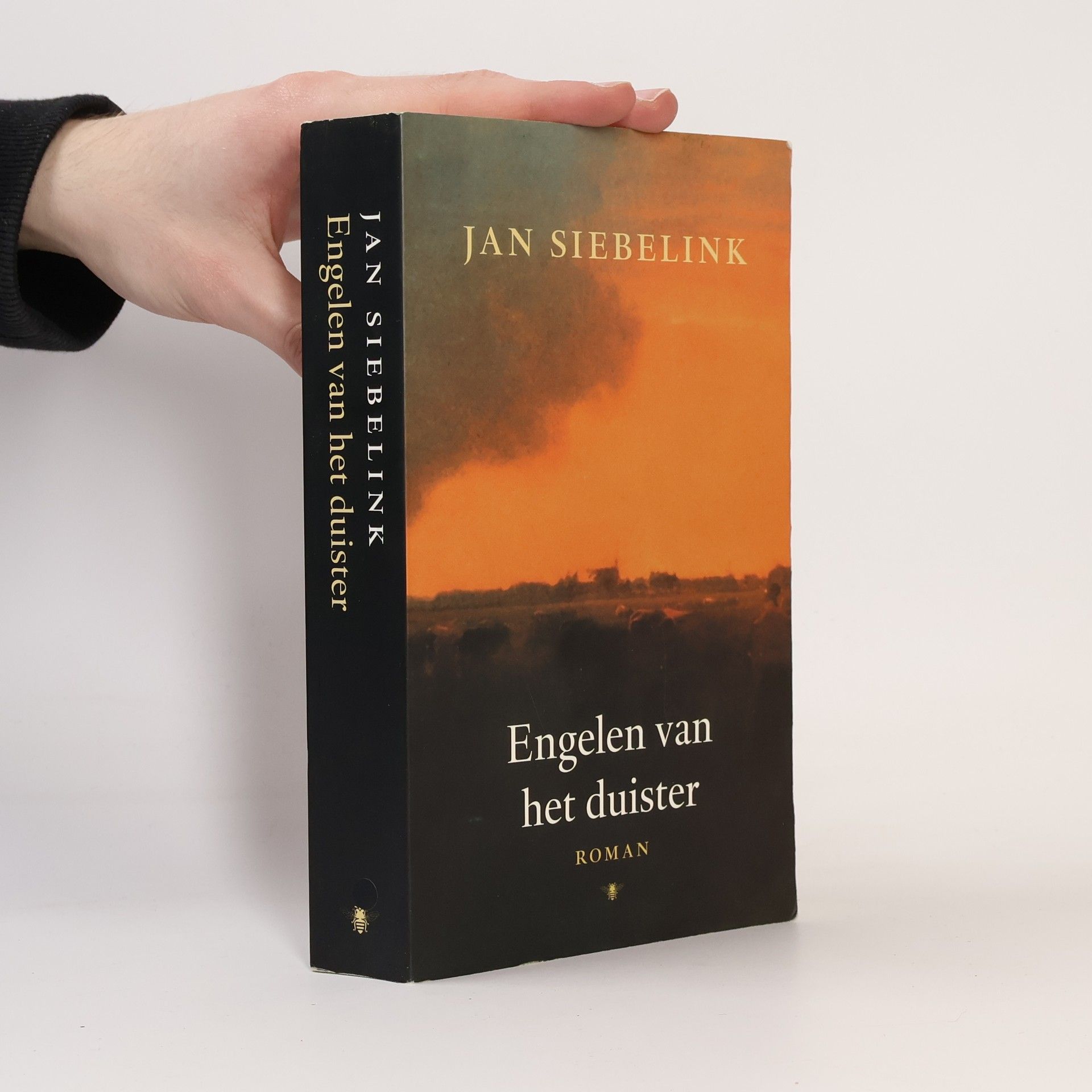 Jan Geurt Siebelink Engelen van het duister