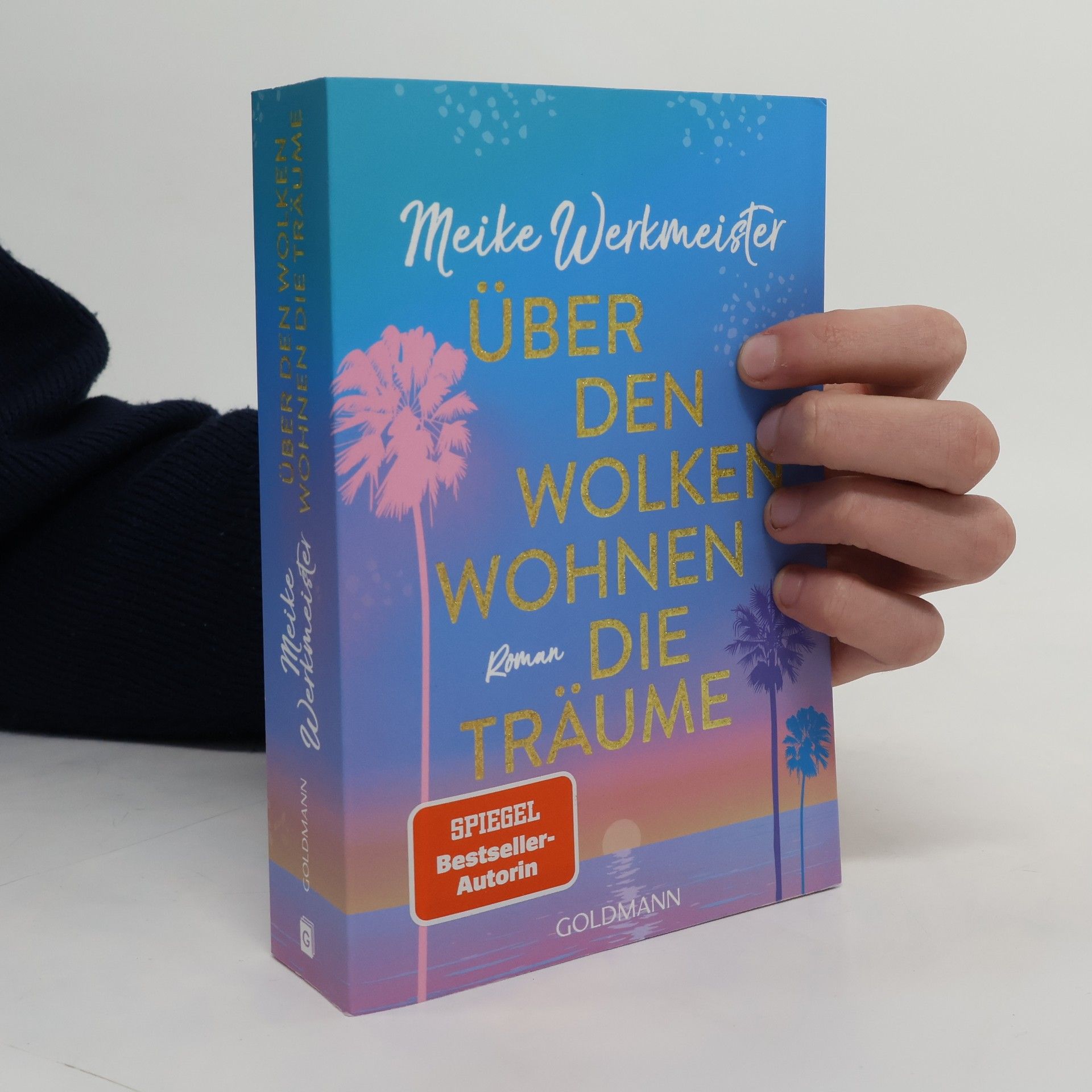 Meike Werkmeister Über den Wolken wohnen die Träume