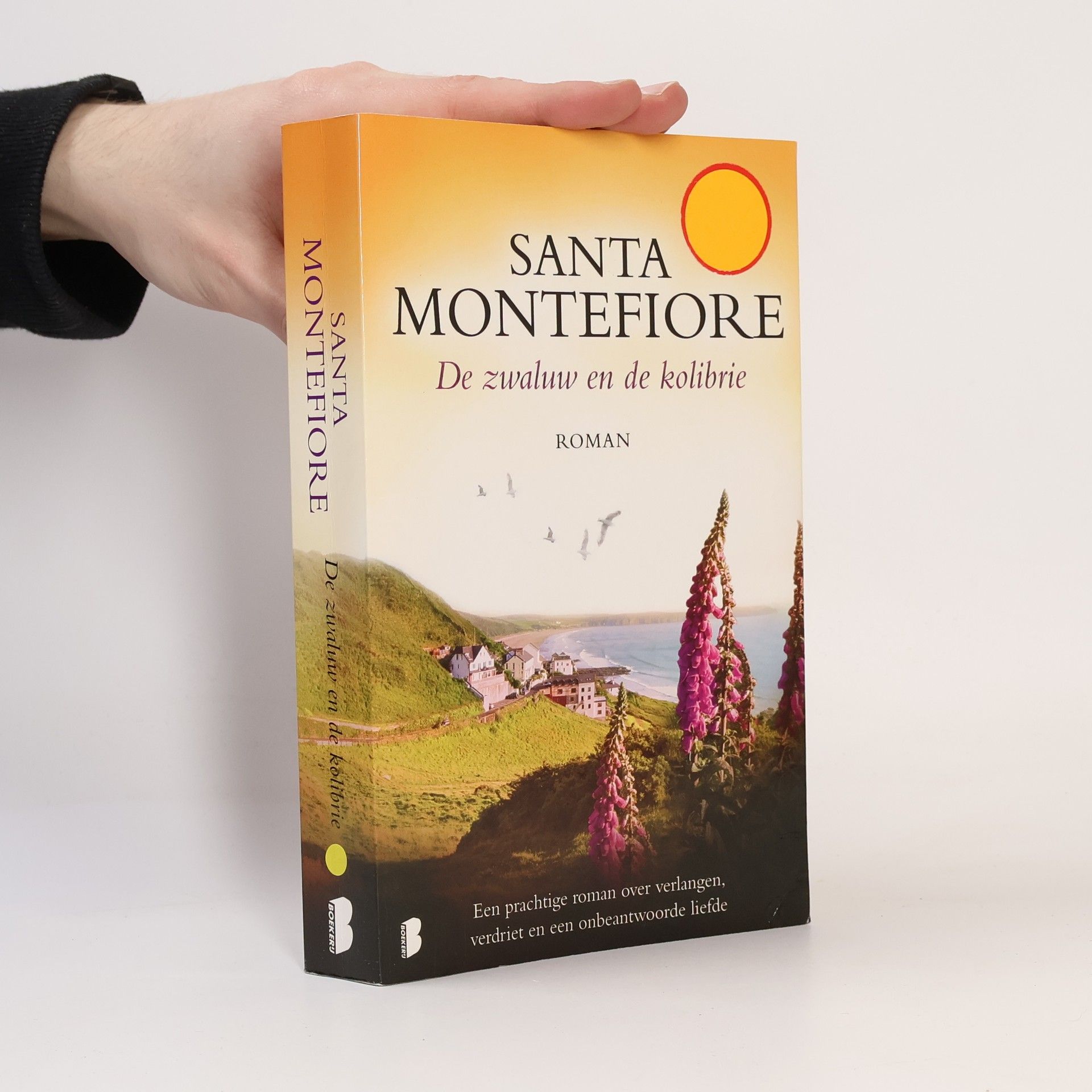 Erica van Rijsewijk De zwaluw en de kolibrie