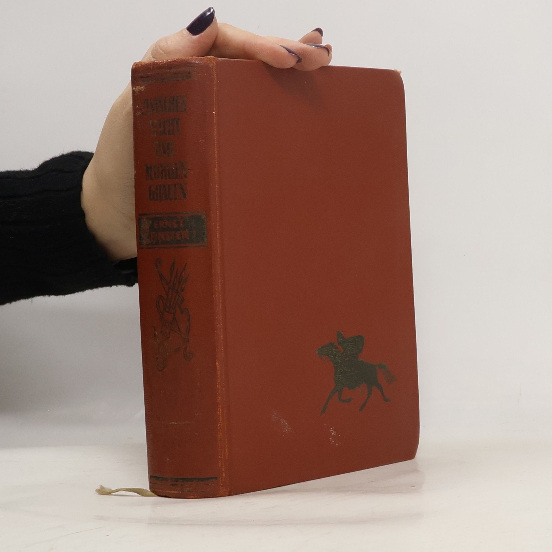 Zwischen Nacht und Morgengrauen