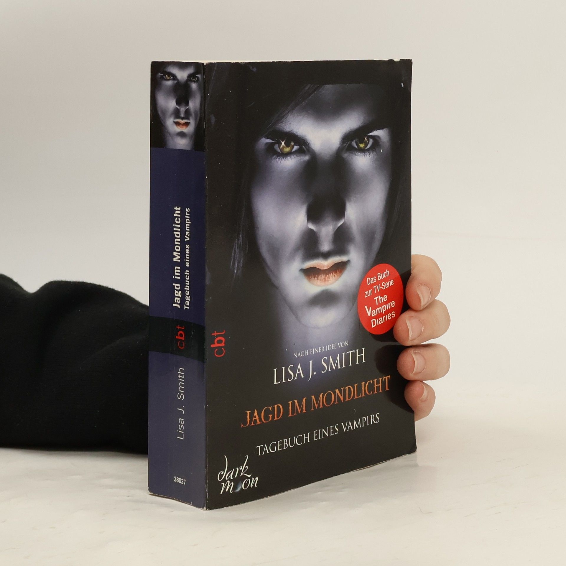 Lisa J. Smith Jagd im Mondlicht