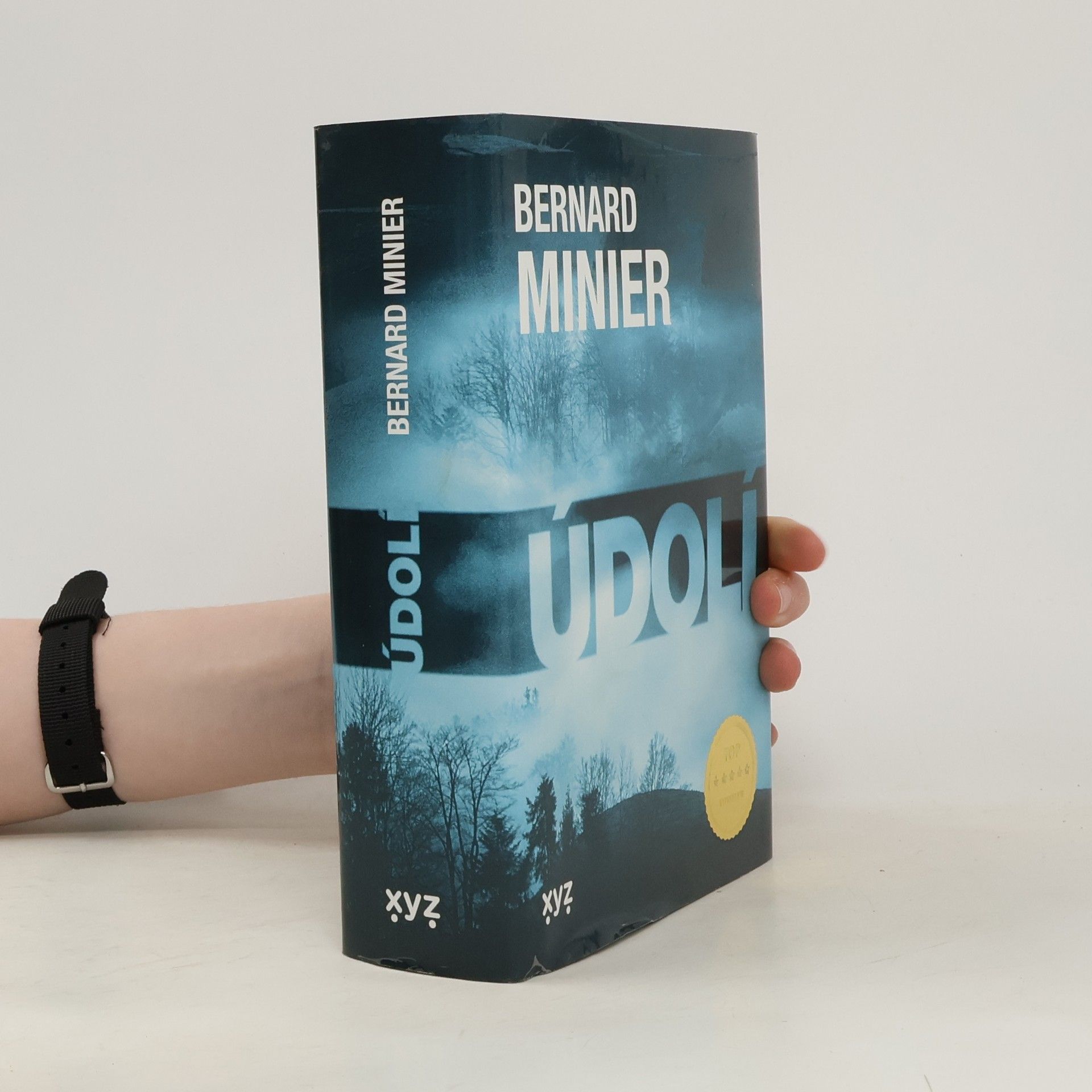 Bernard Minier Údolí