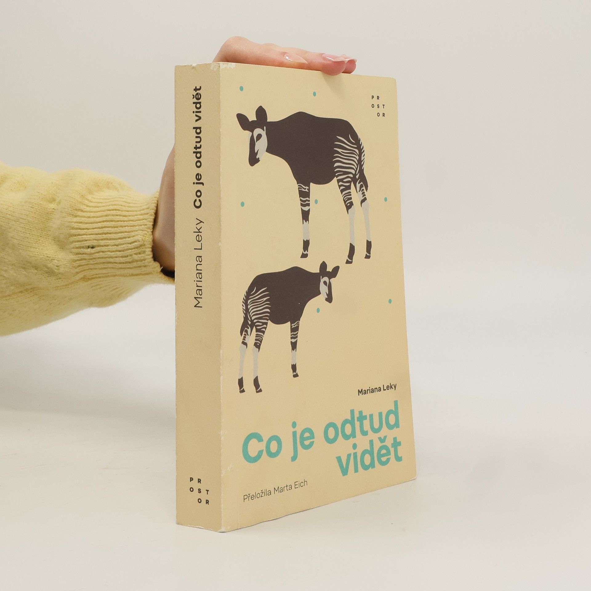 Mariana Leky Co je odtud vidět