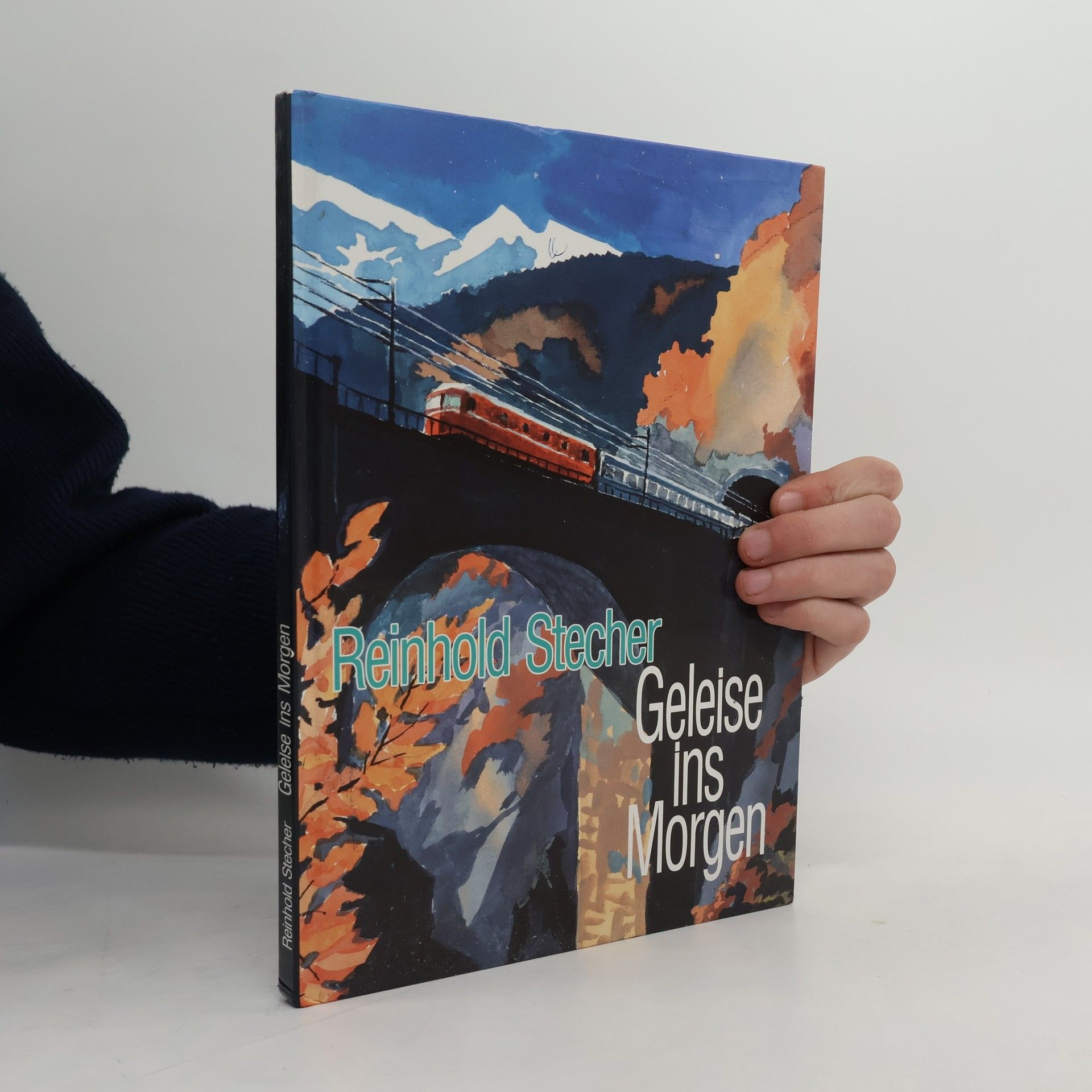 Reinhold Stecher Geleise ins Morgen