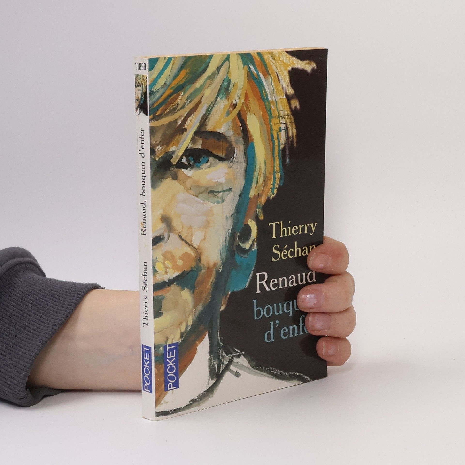 Thierry Séchan Renaud, bouquin d'enfer