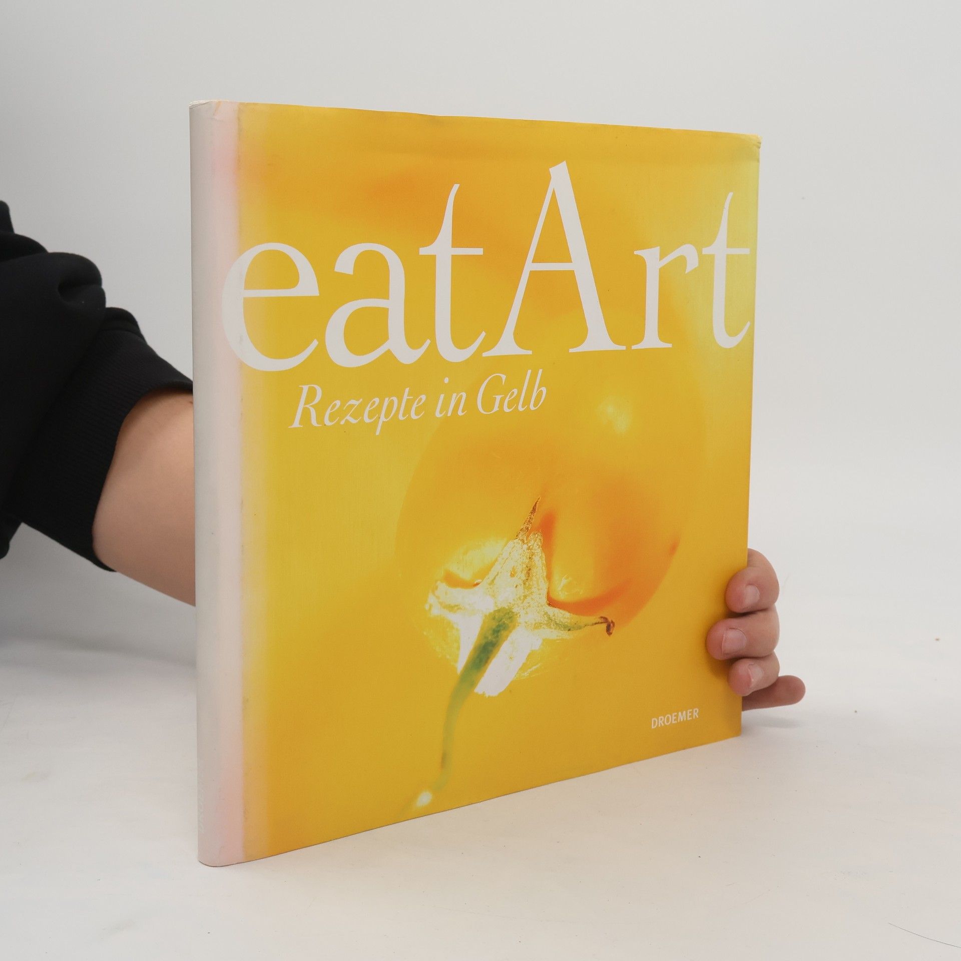 Autorenkollektiv Rezepte in Gelb