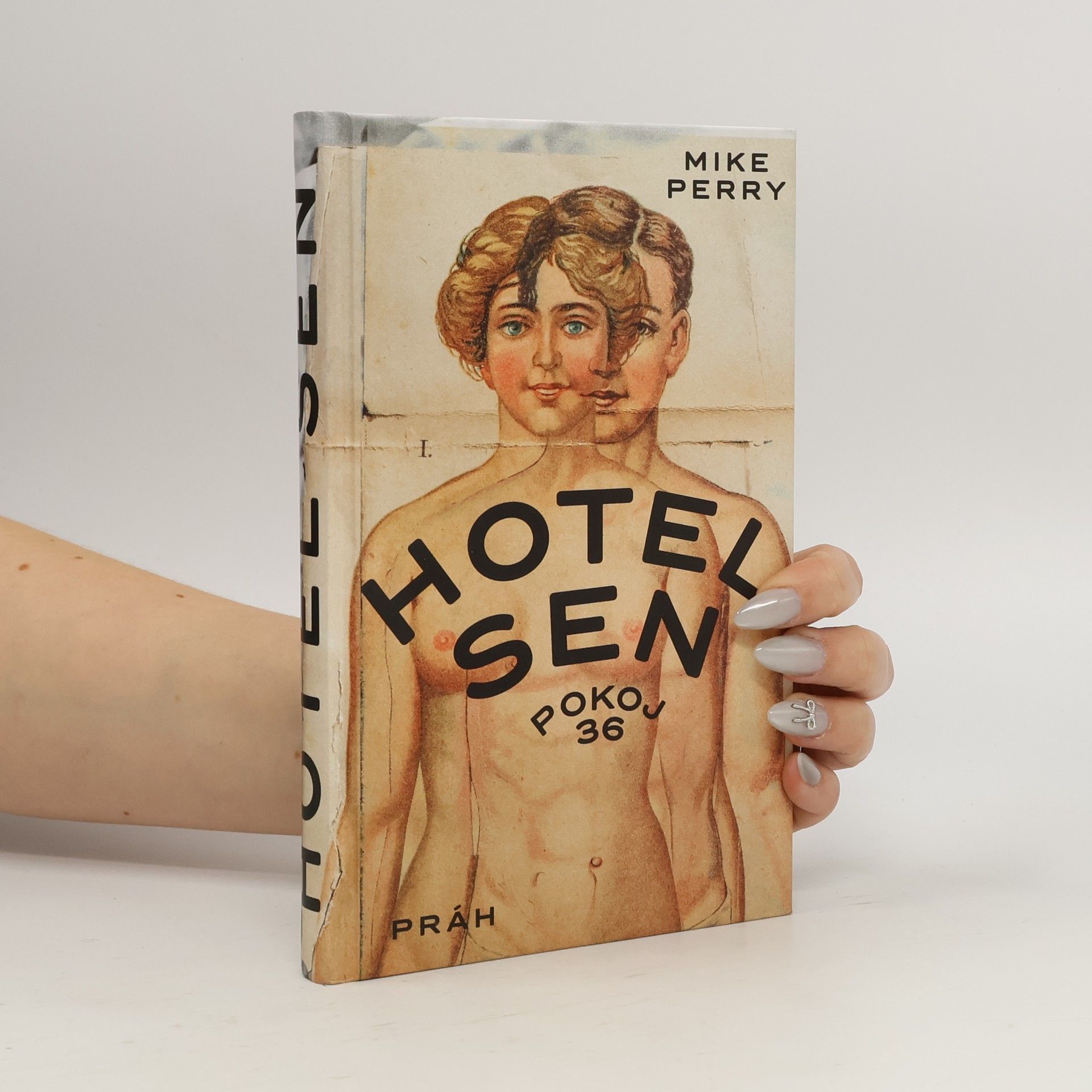 Mike Perry Hotel Sen : pokoj 36