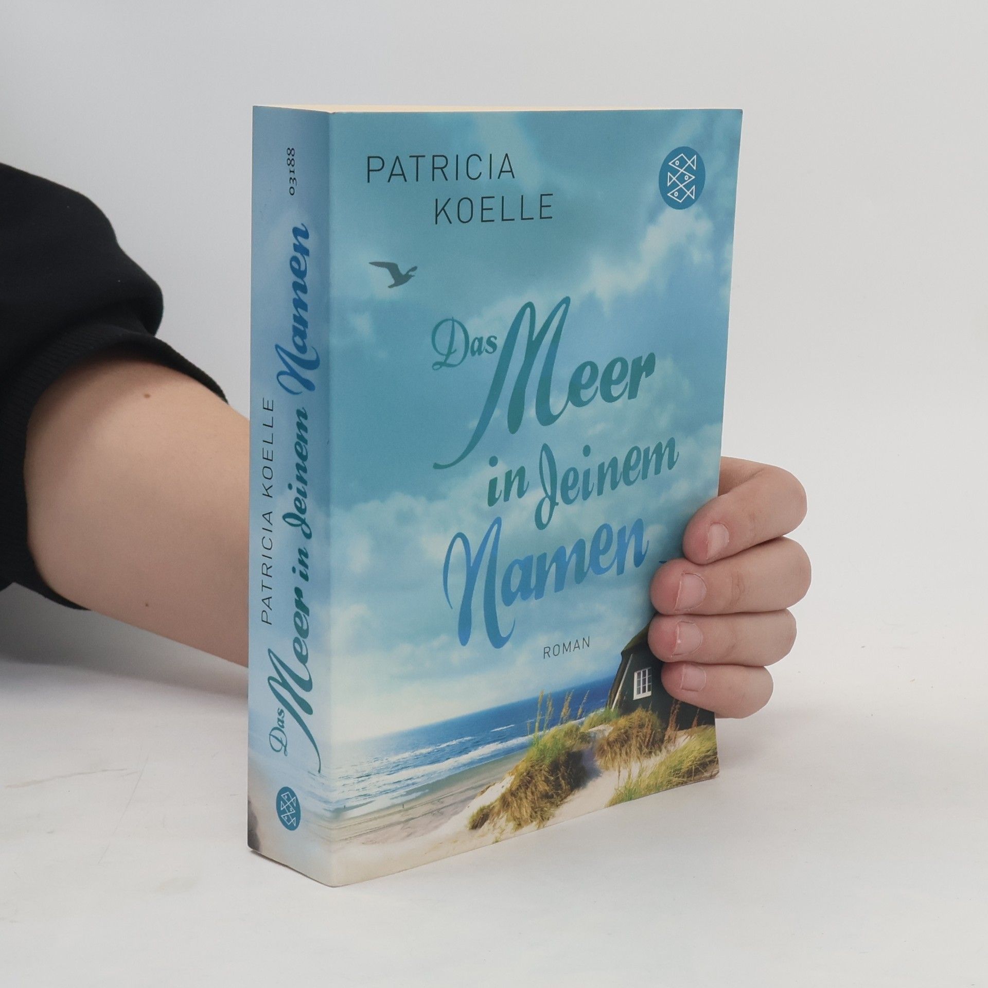 Patricia Koelle Das Meer in deinem Namen