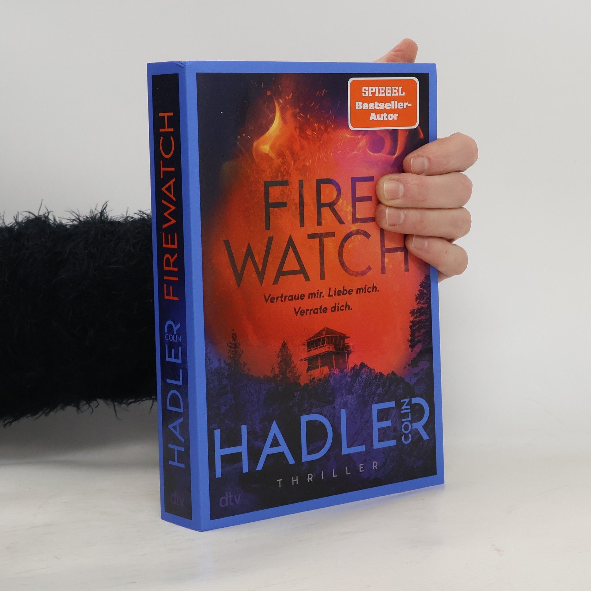 Colin Hadler Firewatch