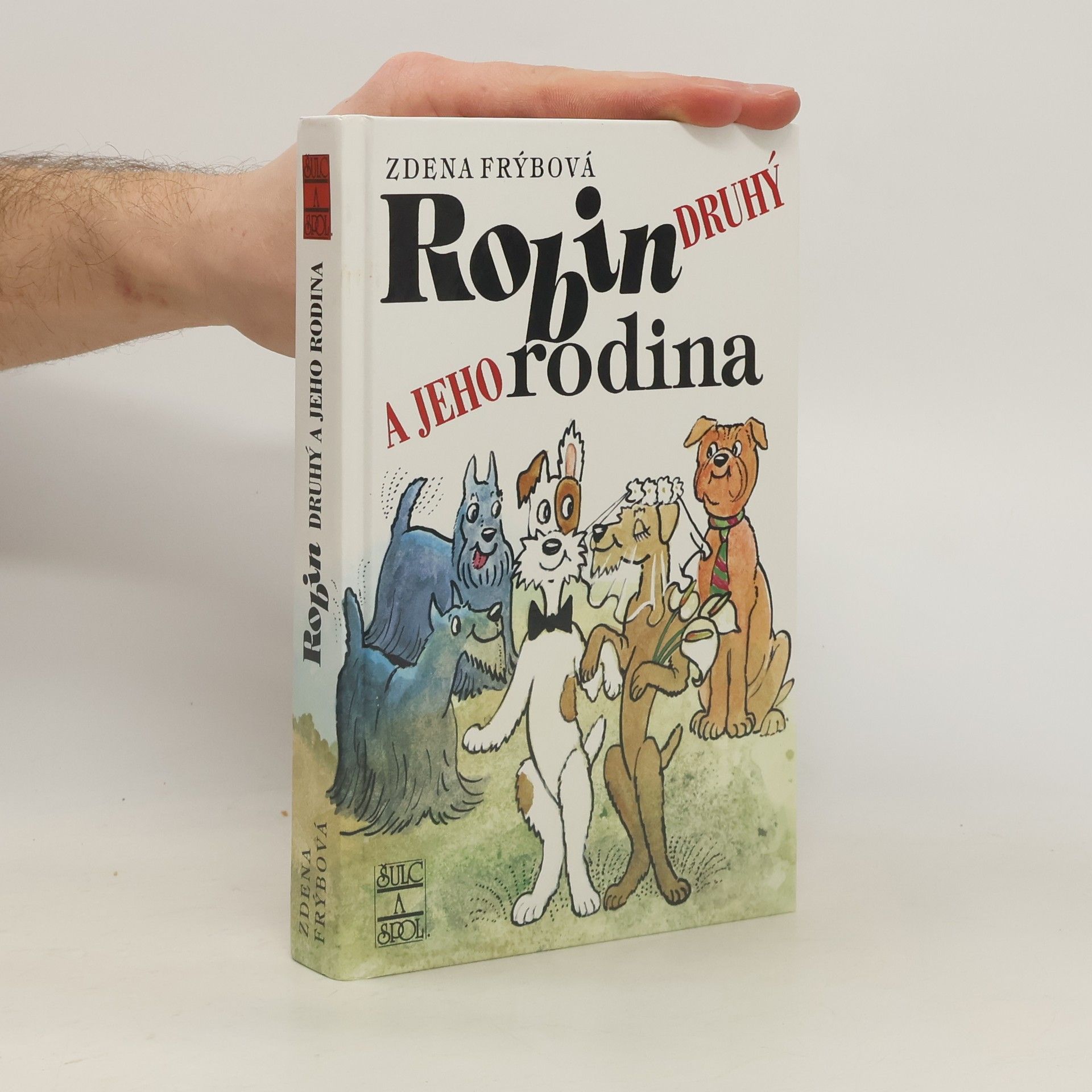 Robin Druhý a jeho rodina