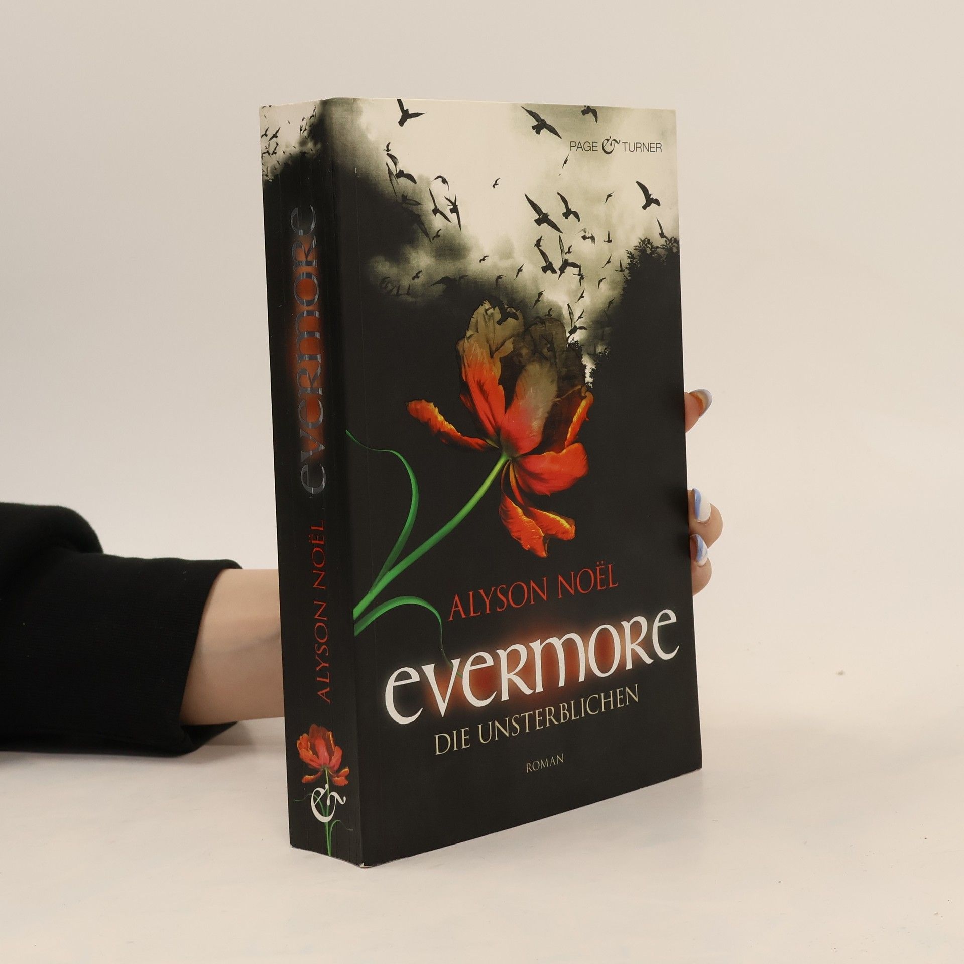 Alyson Noë͏l Evermore 1