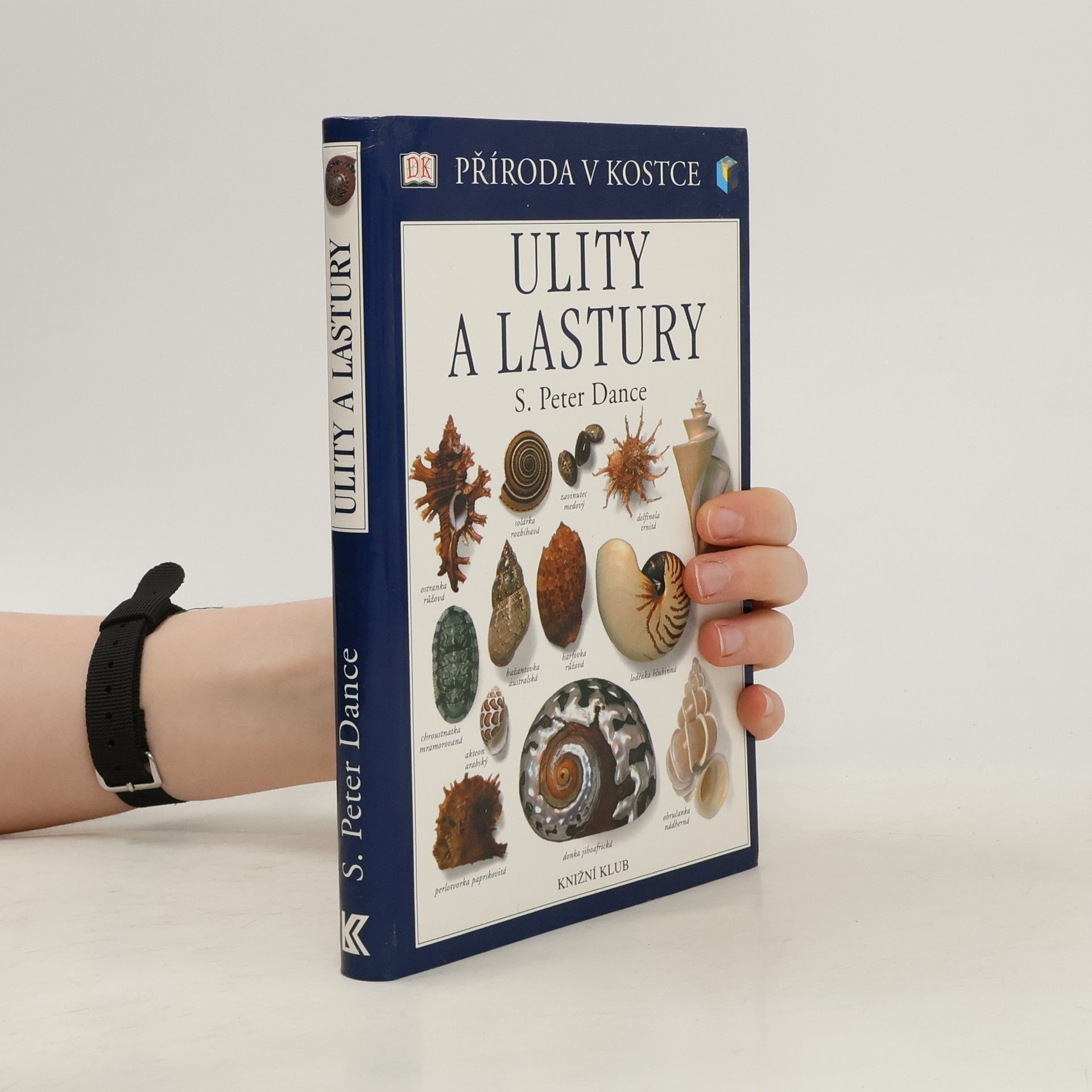 S. Peter Dance Ulity a lastury