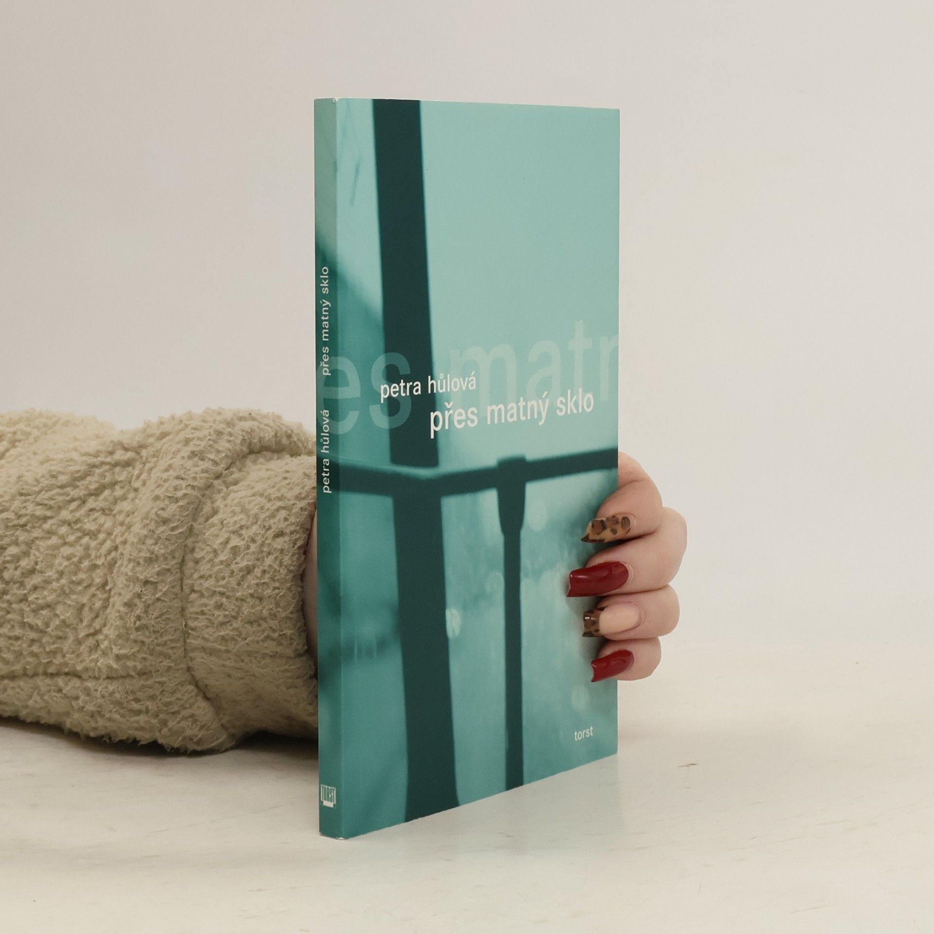 Petra Hůlová Přes matný sklo