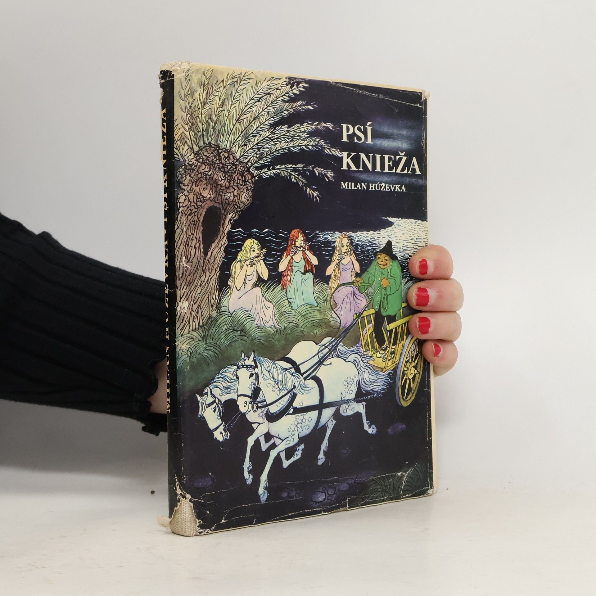 Milan Húževka Psí knieža. Púchovské povesti