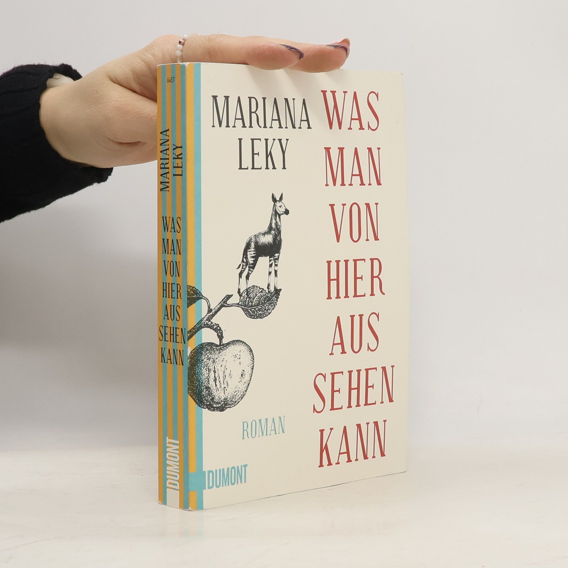 Mariana Leky Was man von hier aus sehen kann