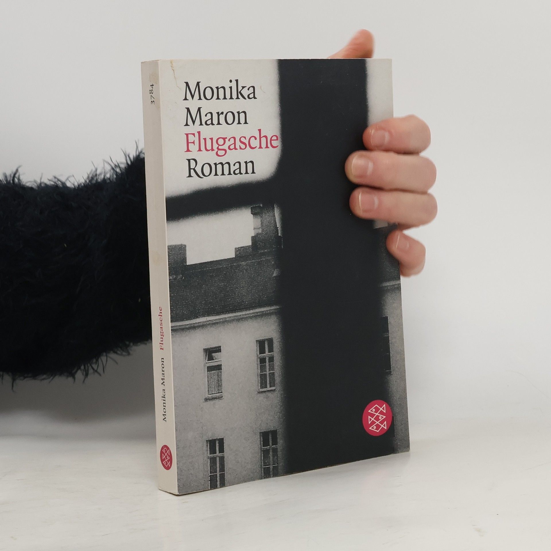 Monika Maron Flugasche