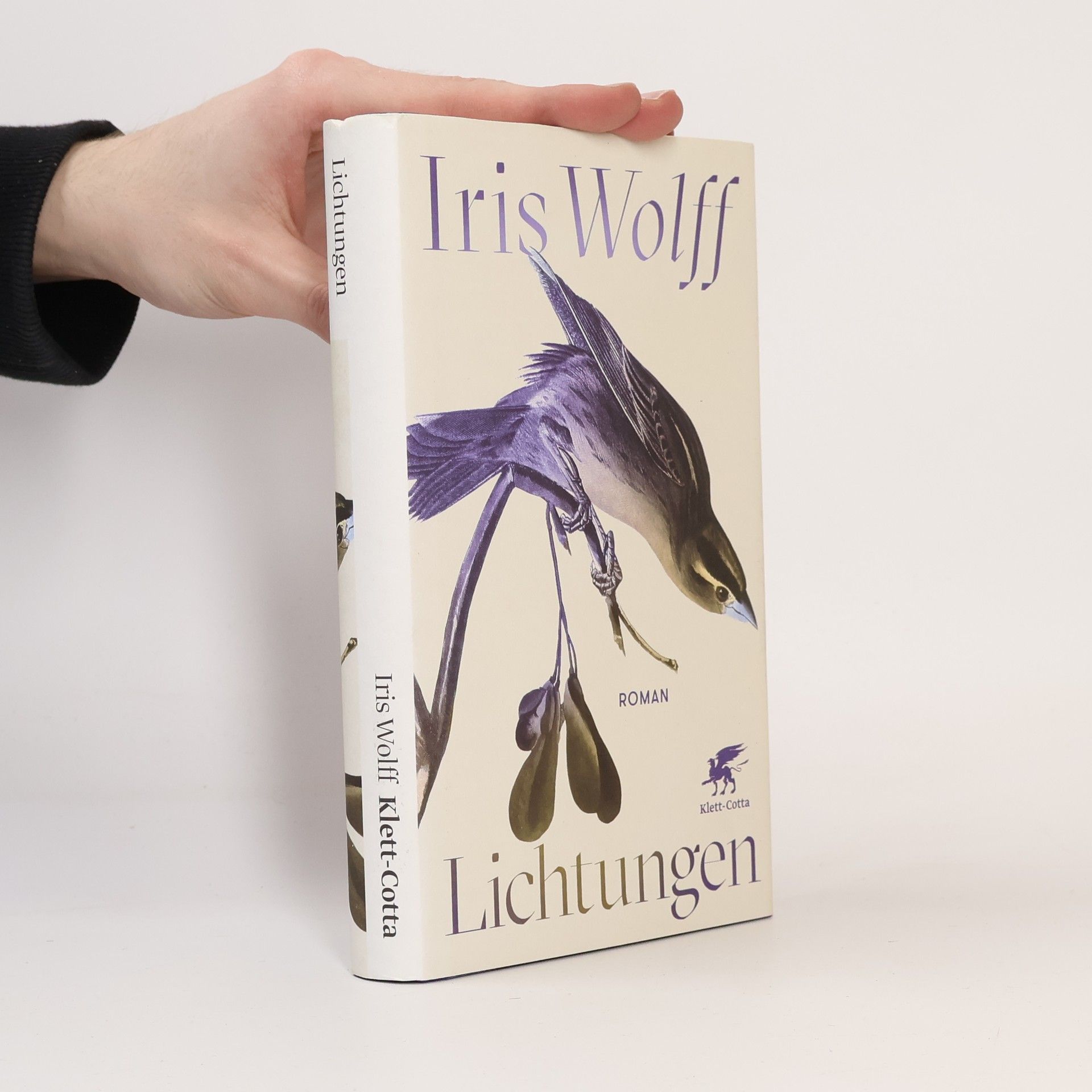 Iris Wolff Lichtungen