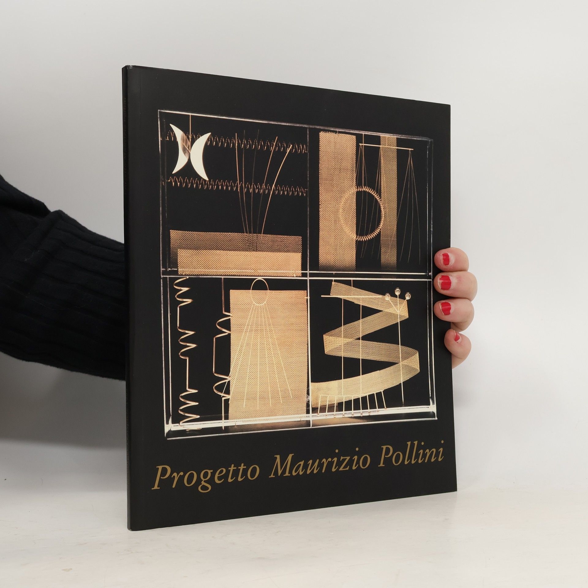 Paolo Petazzi Progetto Maurizio Pollini