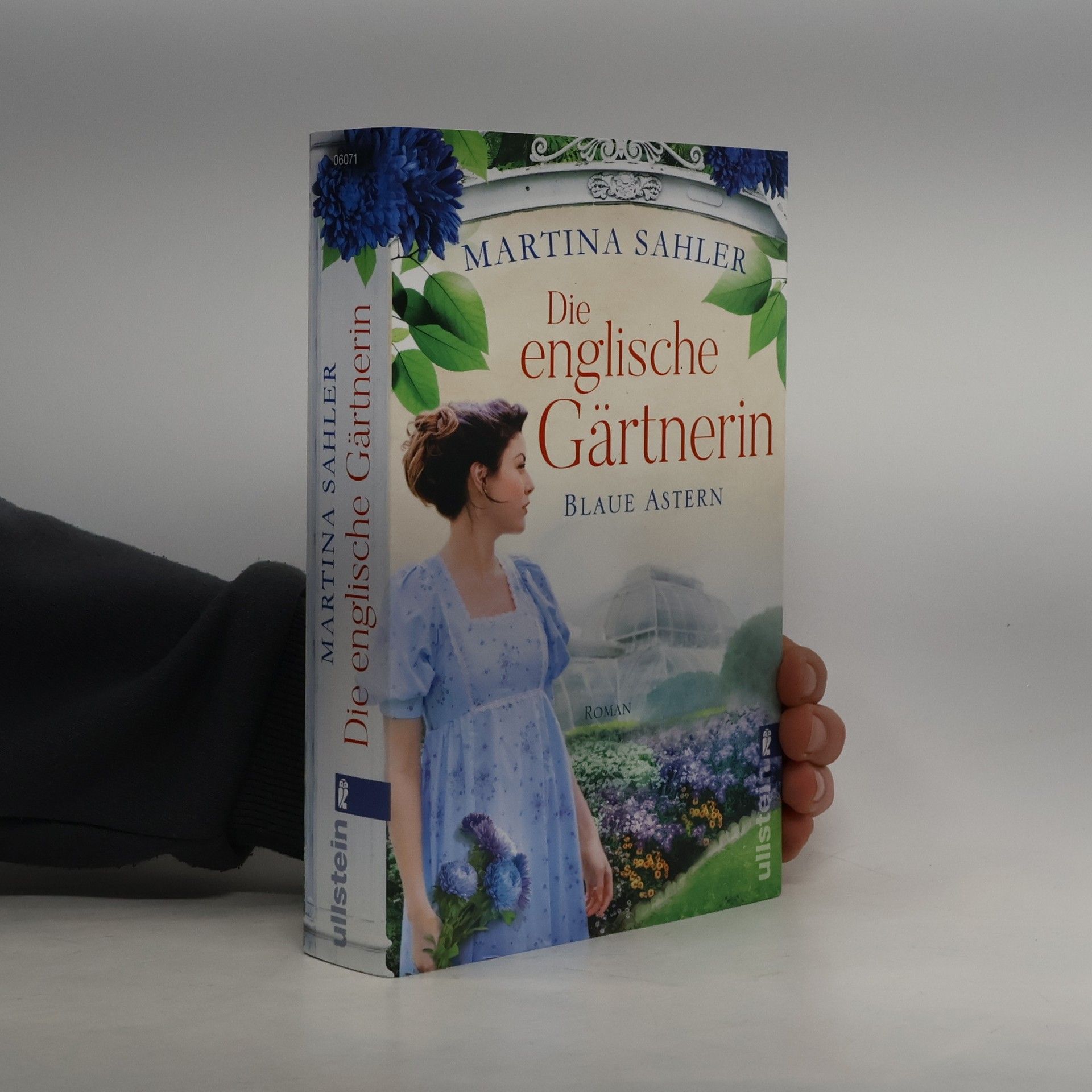 Die englische Gärtnerin - Blaue Astern