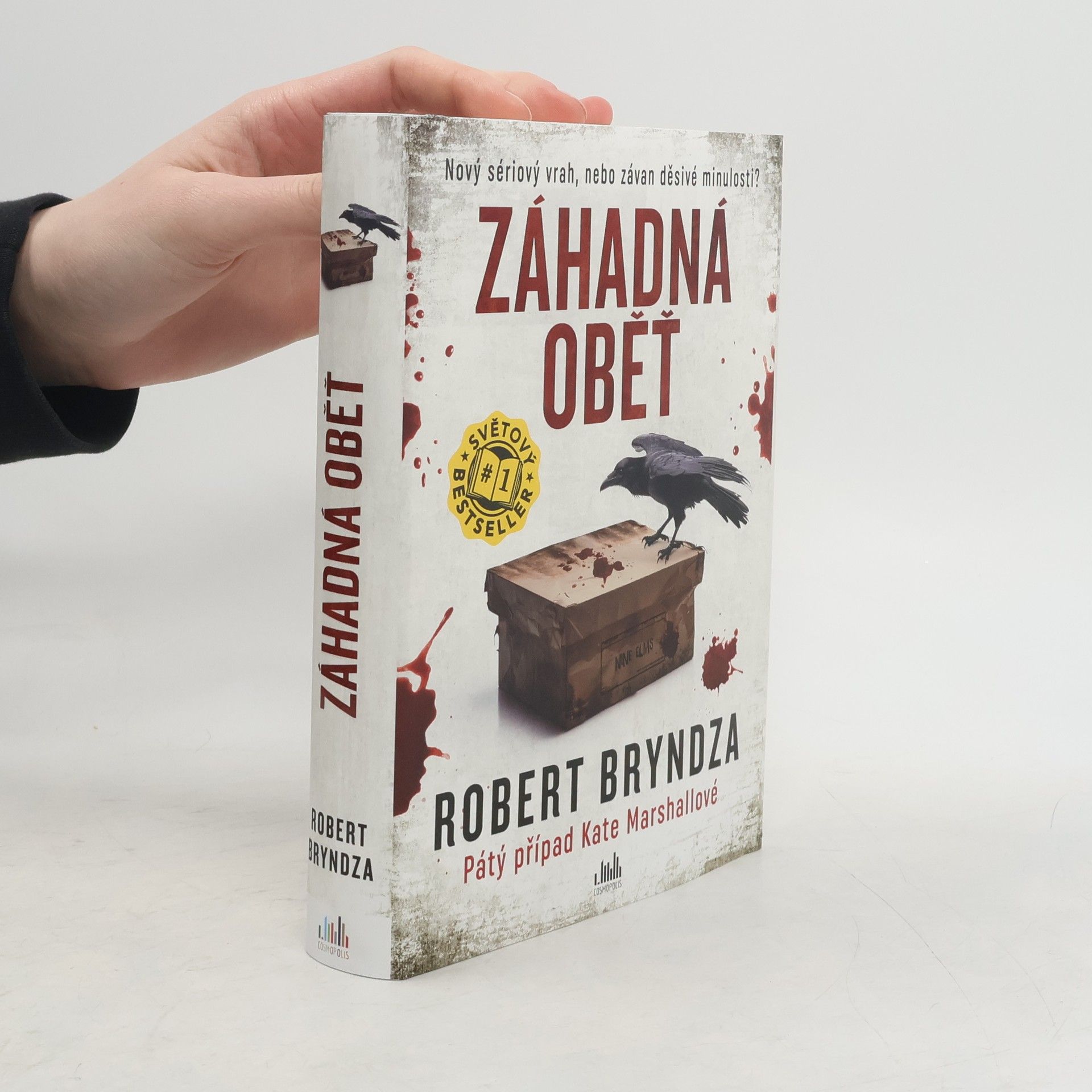 Robert Bryndza Záhadná oběť