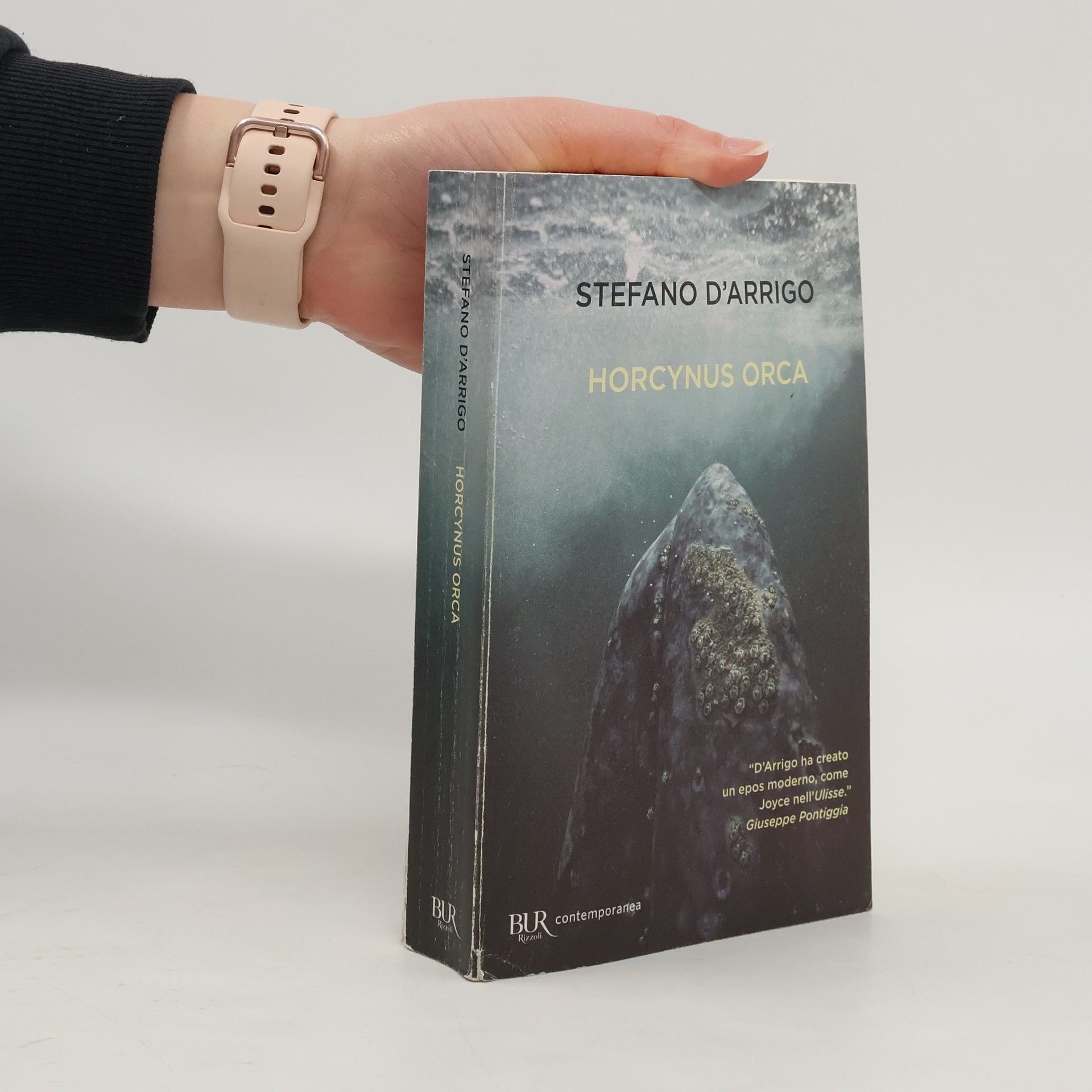 Stefano D. Arrigo Contemporanea: Horcynus Orca