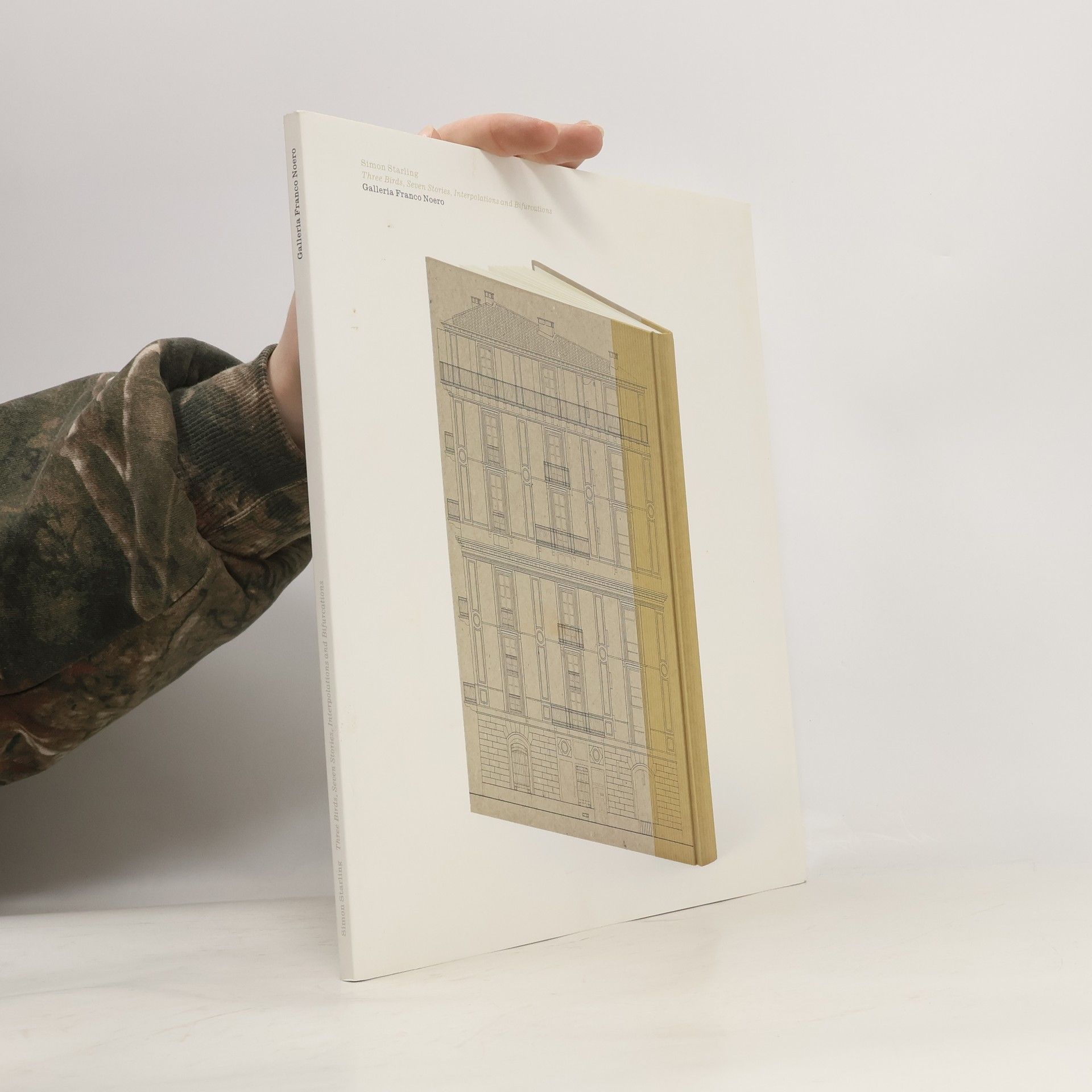 Simon Starling Galleria Franco Noero