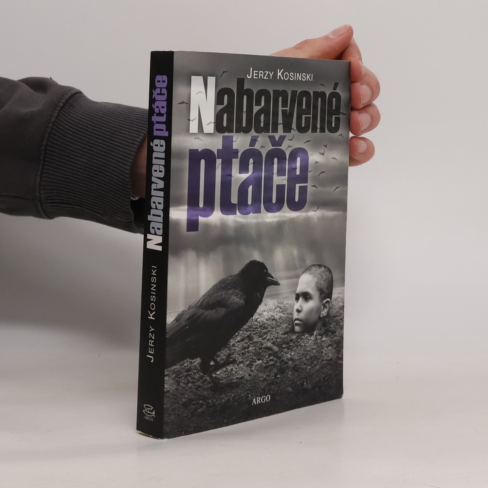 Jerzy Kosinski Nabarvené ptáče