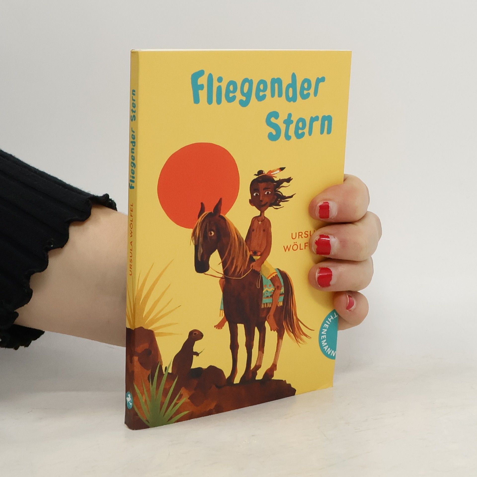 Ursula Wölfel Fliegender Stern