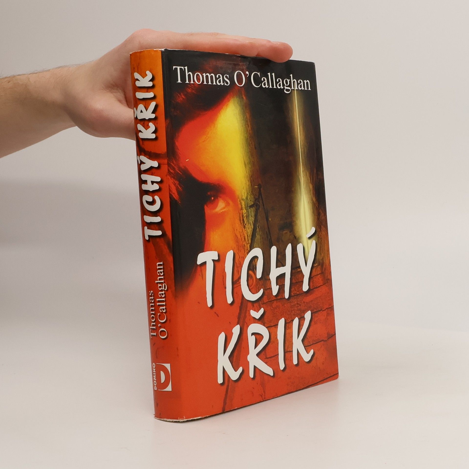 Thomas O. Callaghan Tichý křik