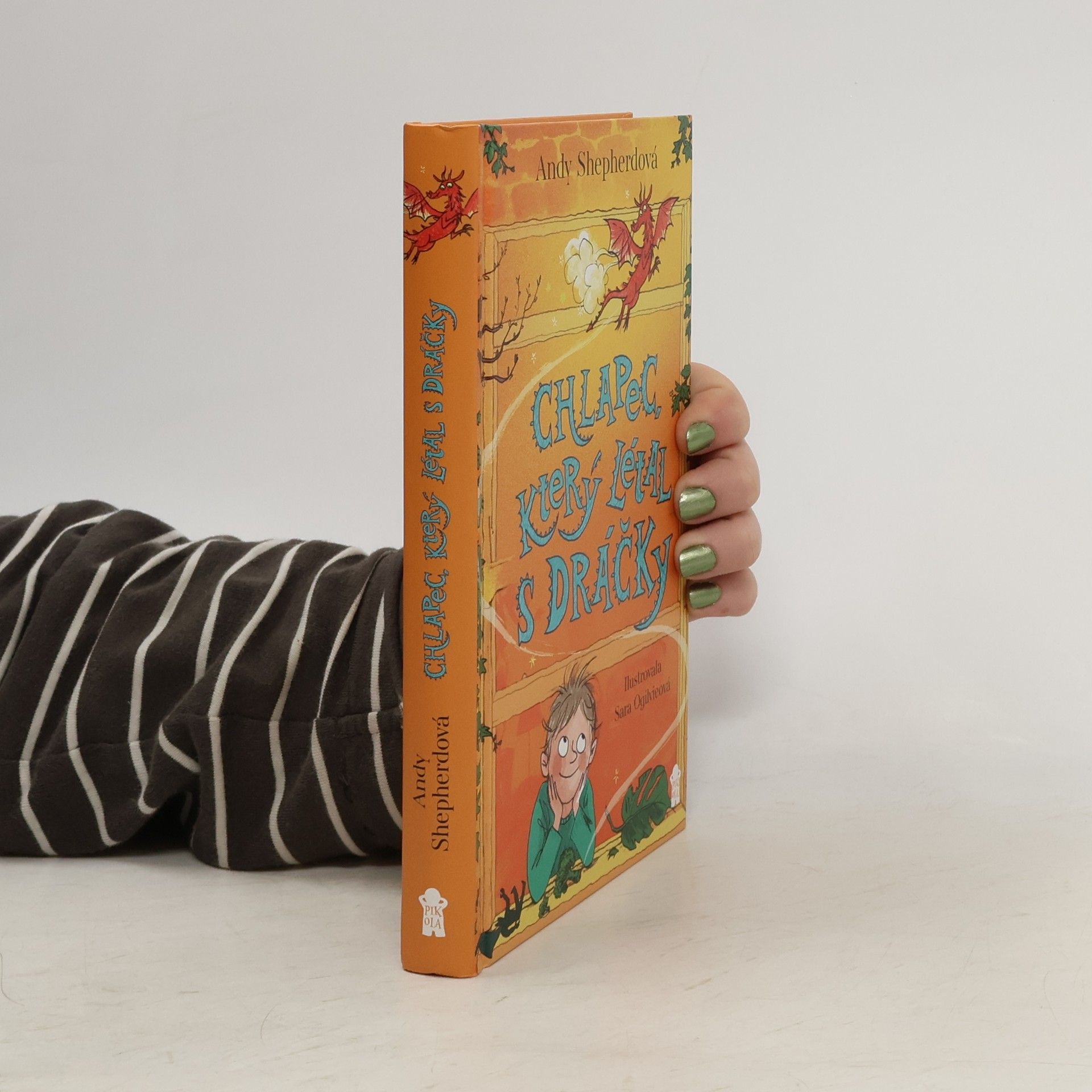 Andy Shepherd Chlapec, který létal s dráčky