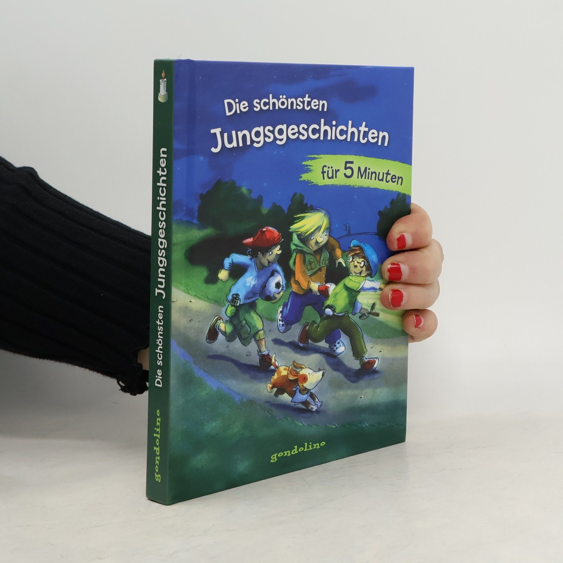 Kolektiv autorů Die schönsten Jungsgeschichten für 5 Minuten