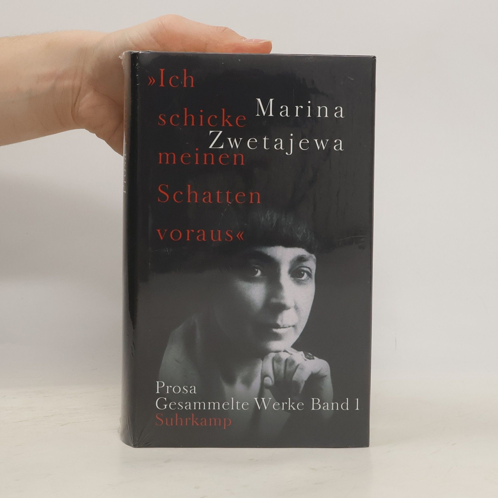 Marina Zwetajewa Ich schicke meinen Schatten voraus