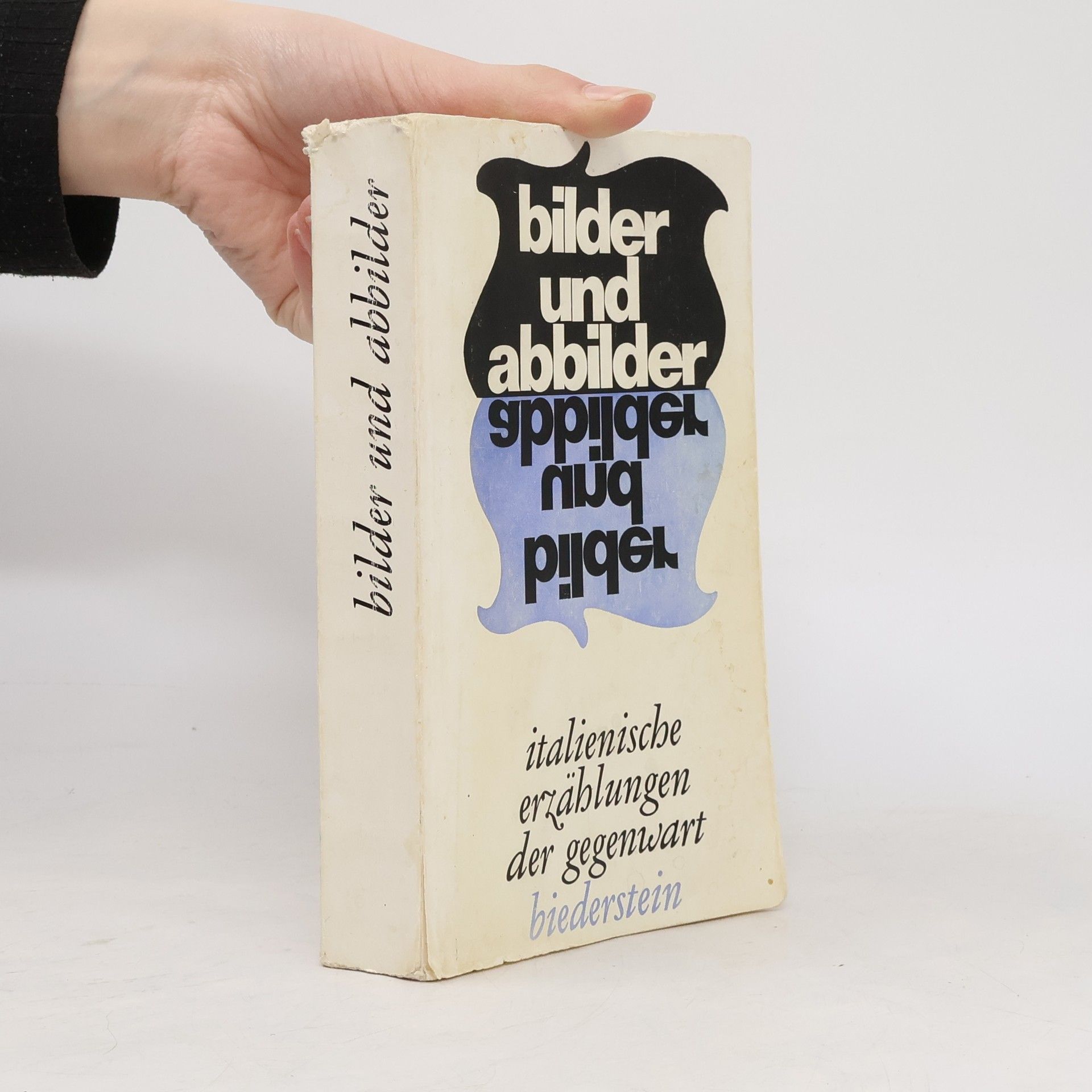 AA.VV. Bilder und Abbilder